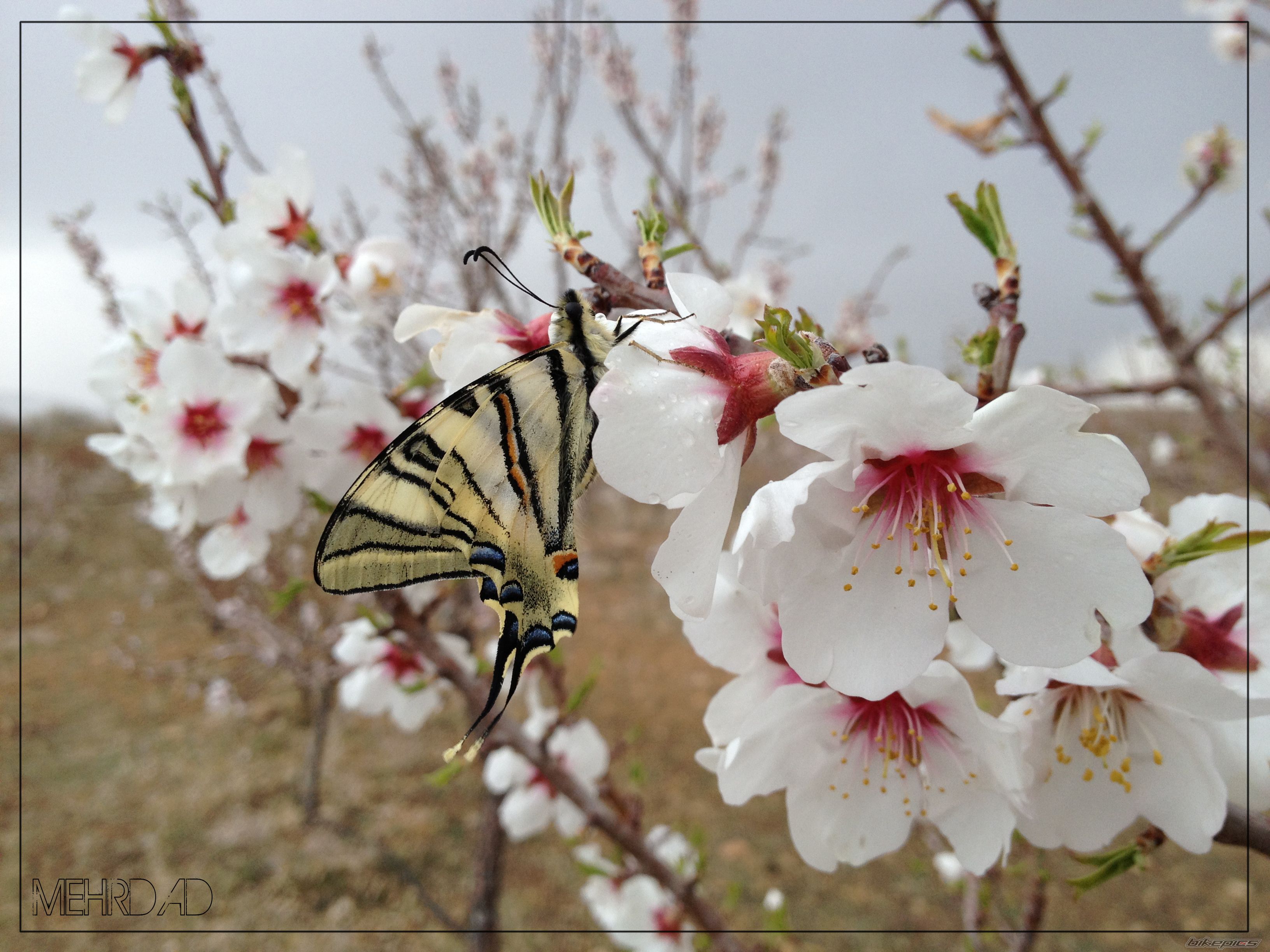 Photo 2570515