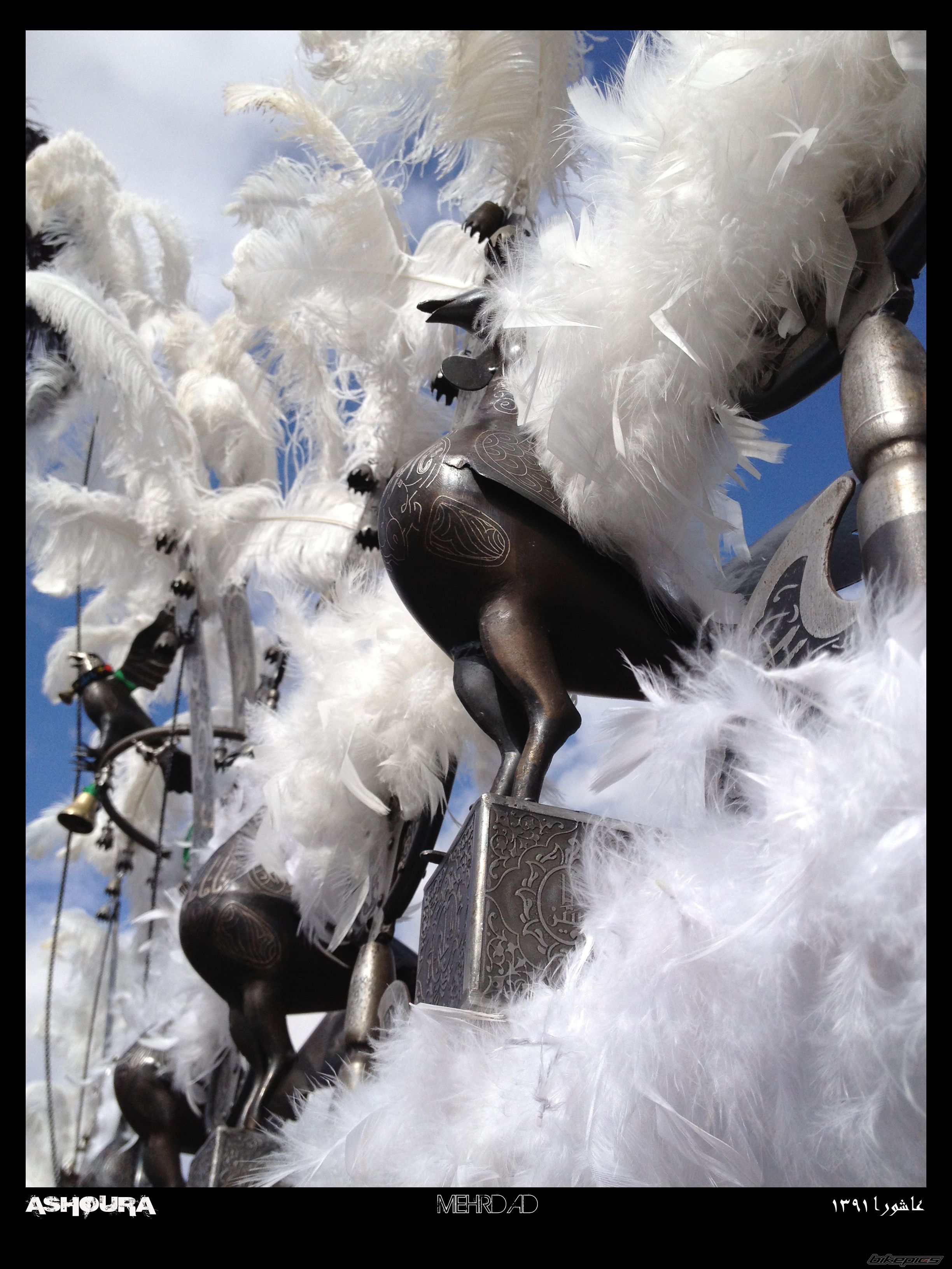 Photo 2570517