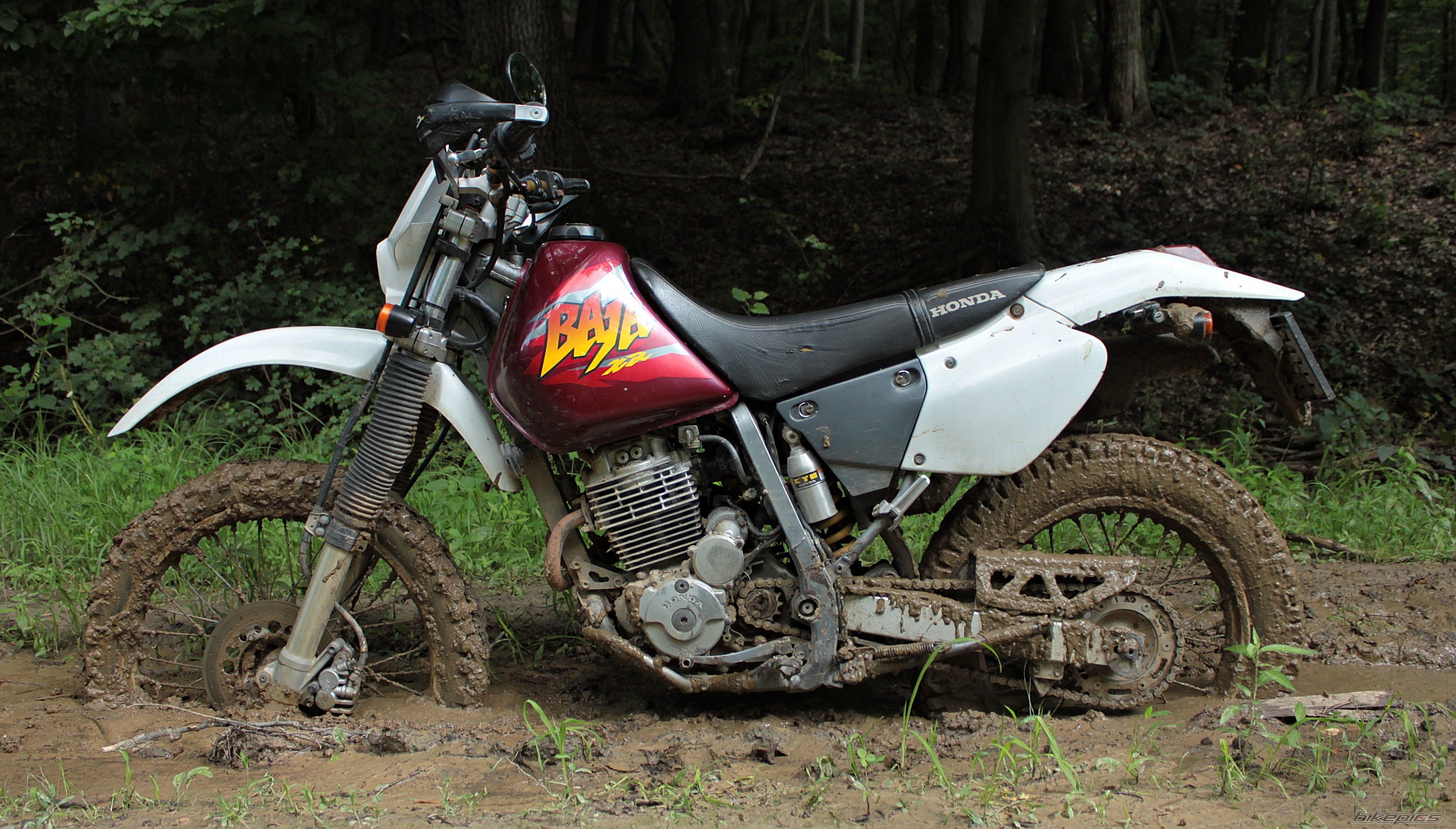 Bike Photo 2570518