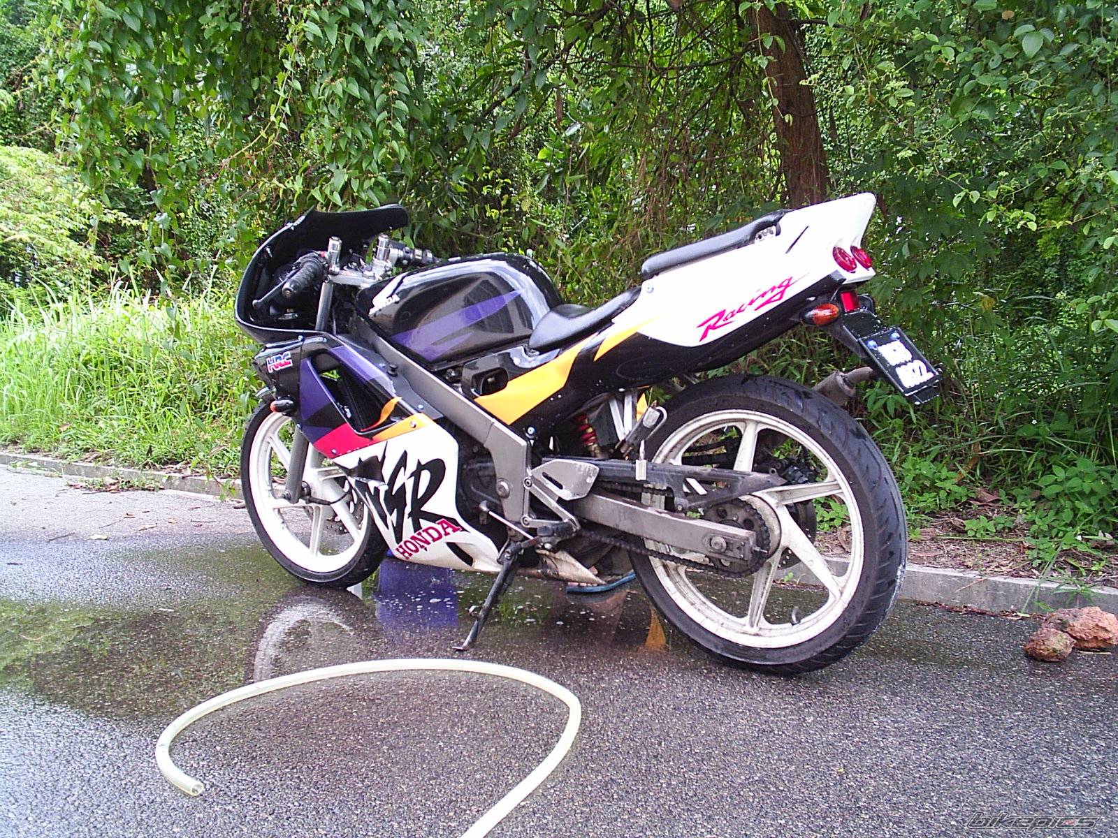 Photo 257053