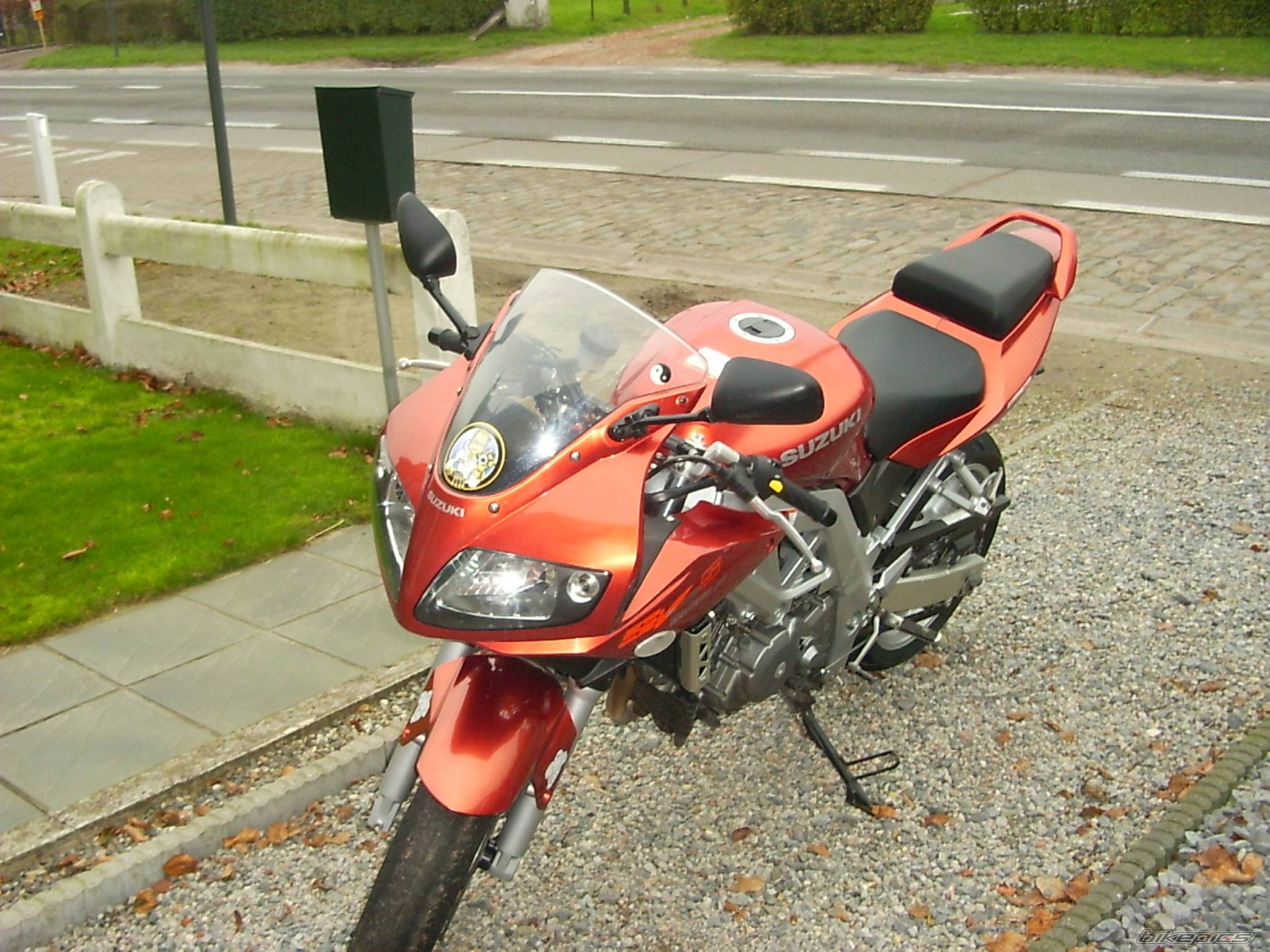 Photo 257055