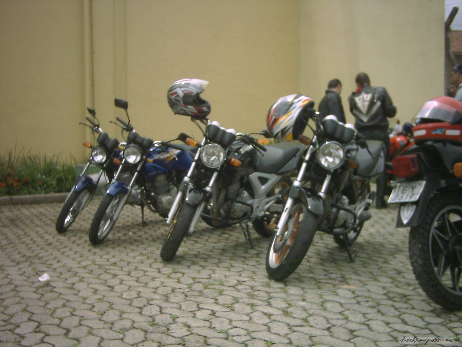 Photo 257061