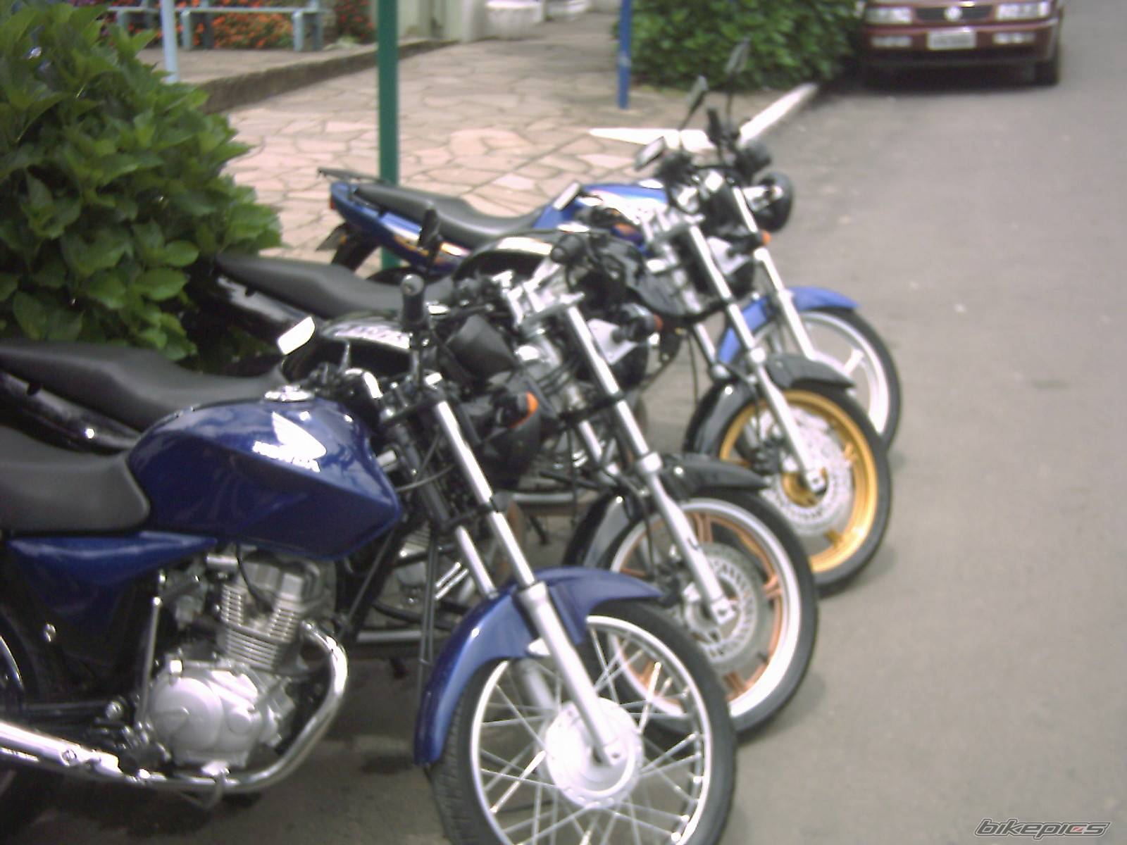 Photo 257063