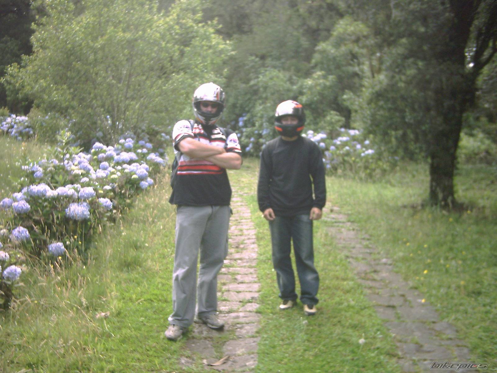 Photo 257065