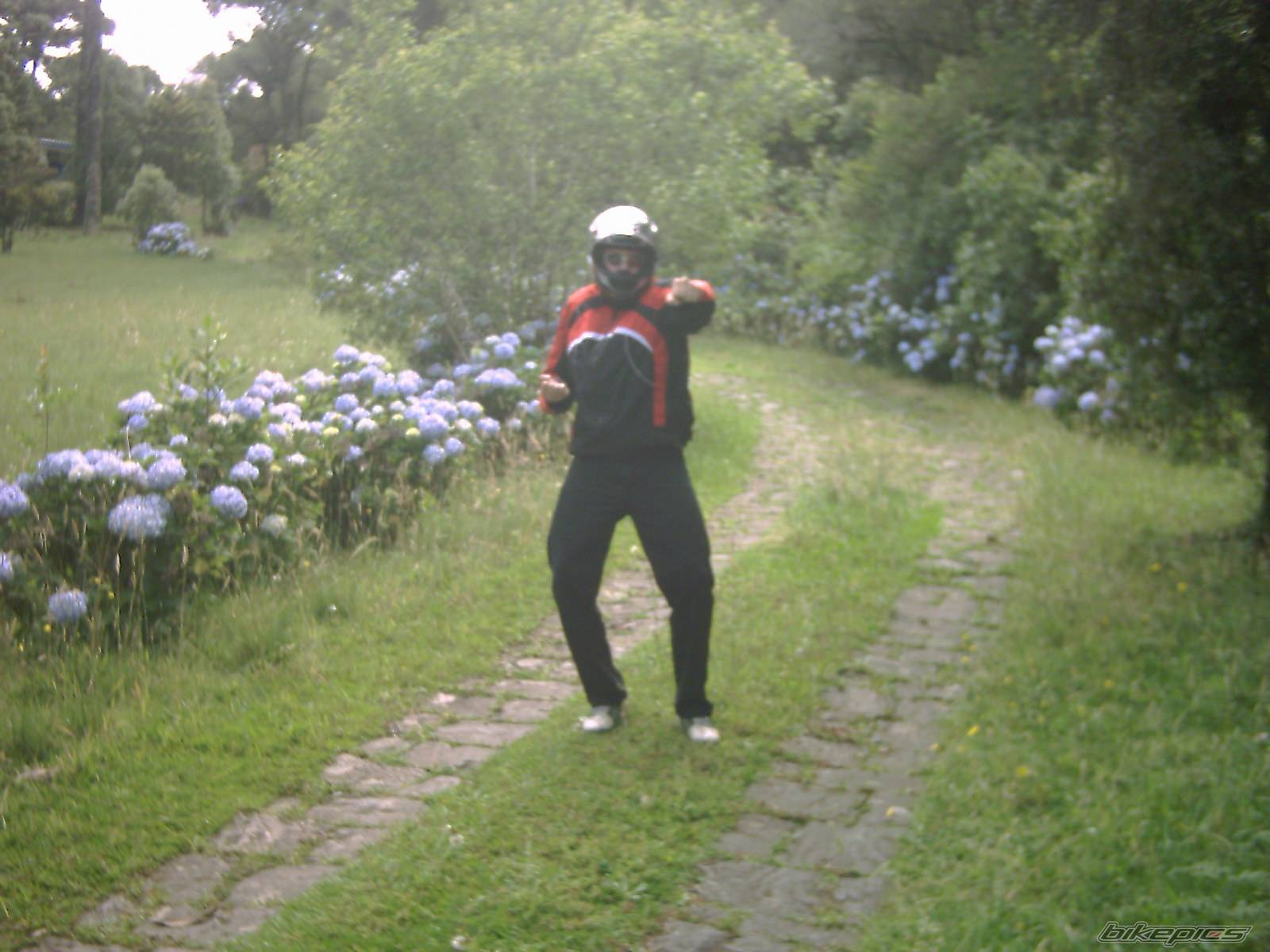 Photo 257067