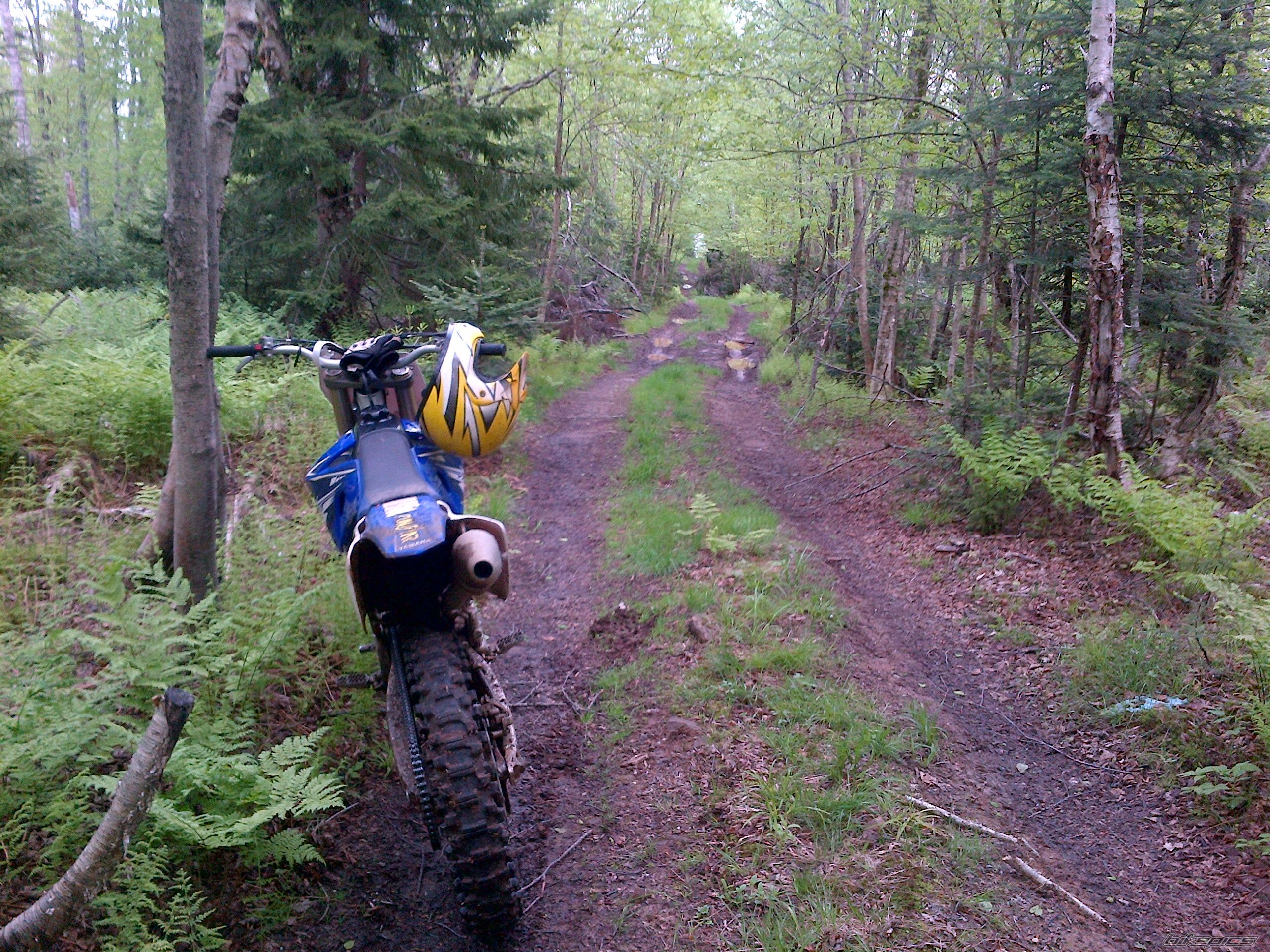 Photo 2570671