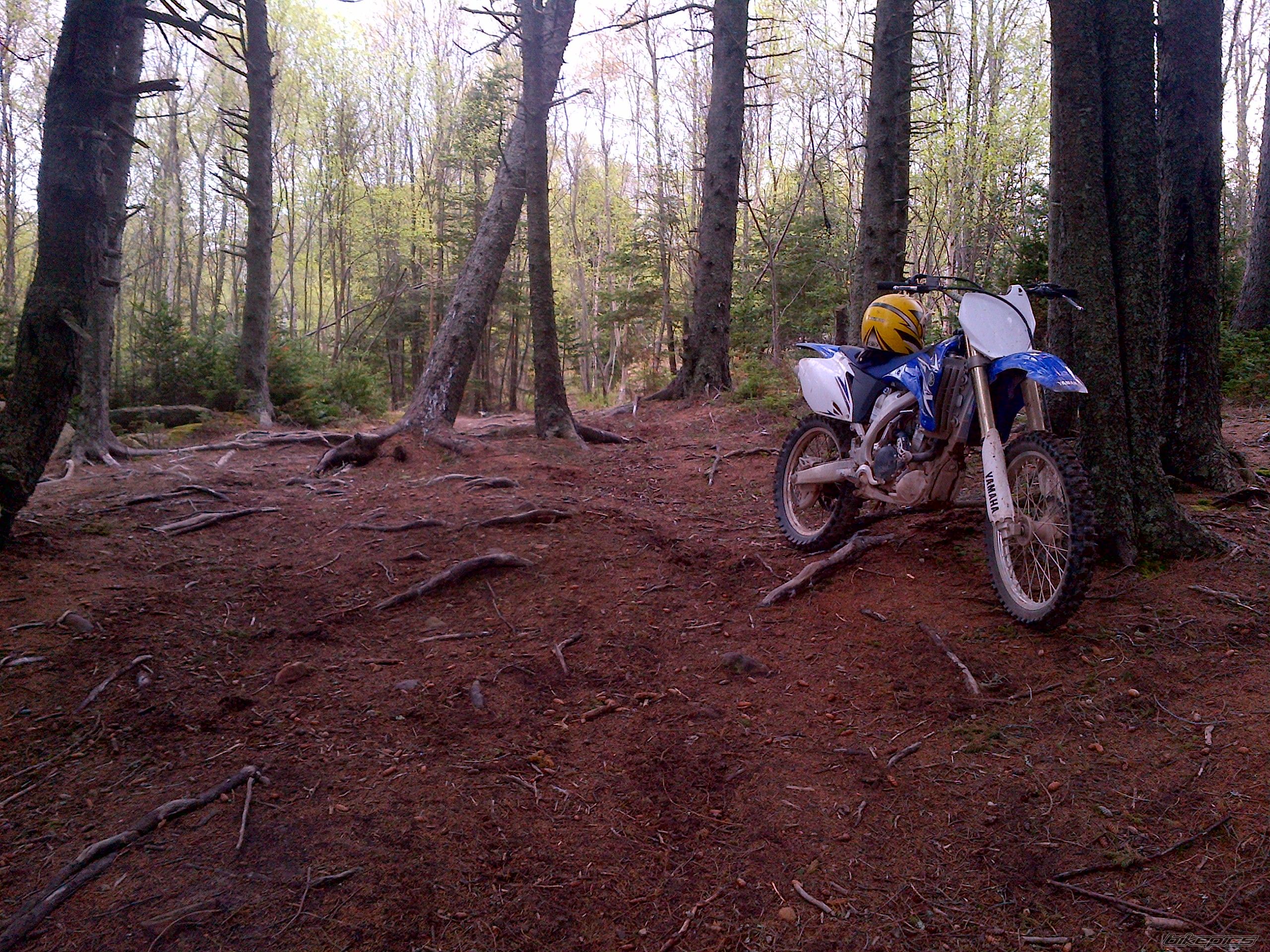 Photo 2570672