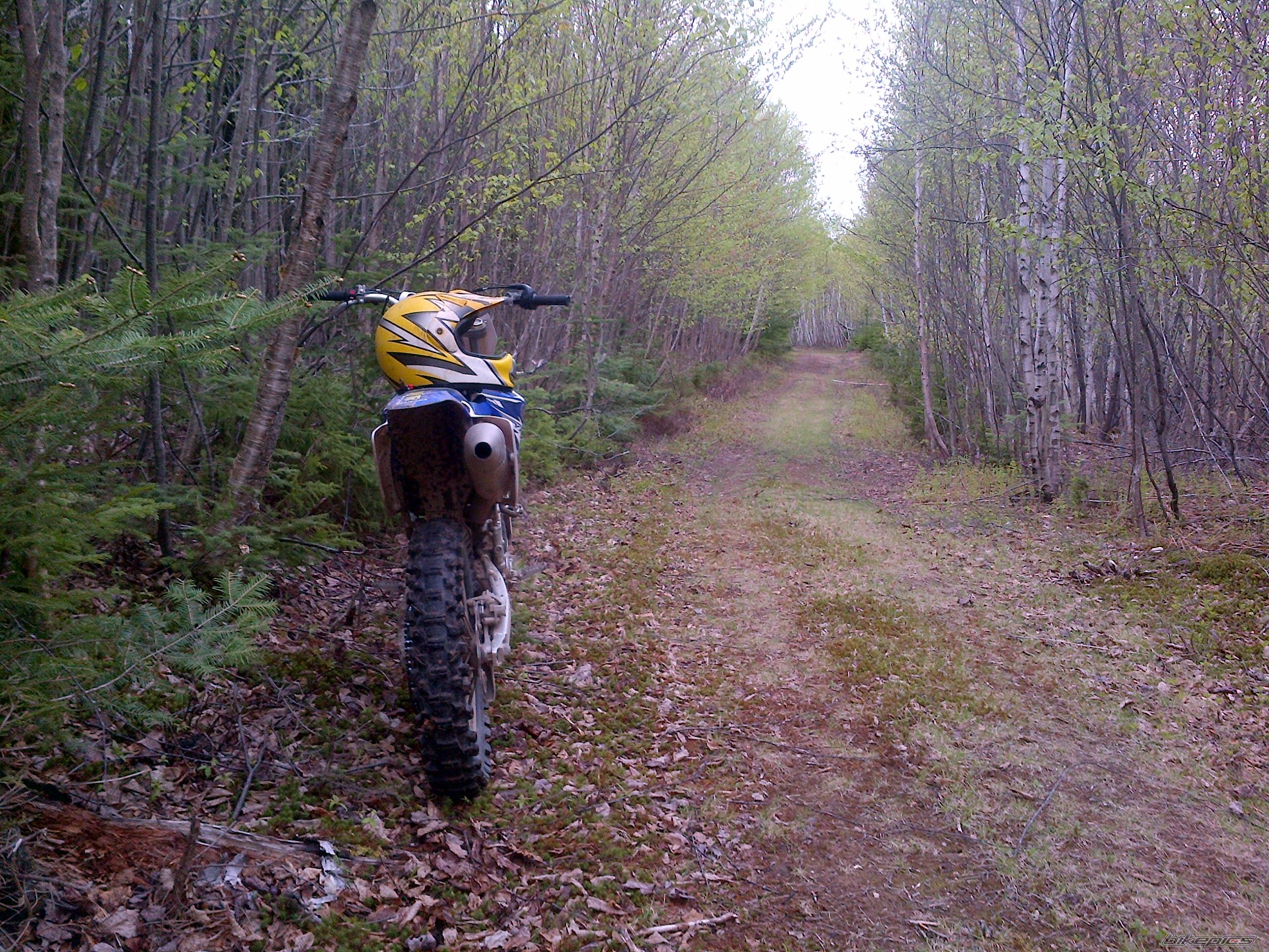 Photo 2570673