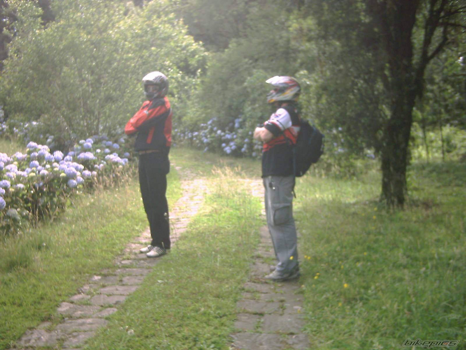Photo 257069