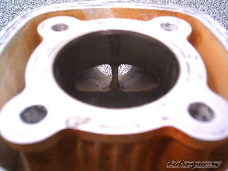 Photo 257081