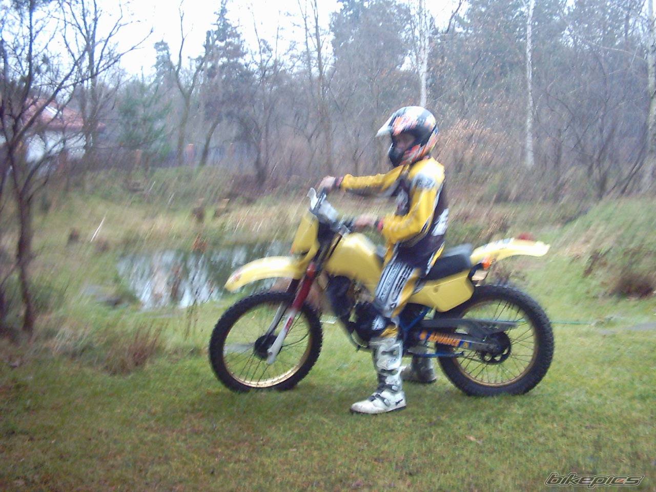 Photo 257092