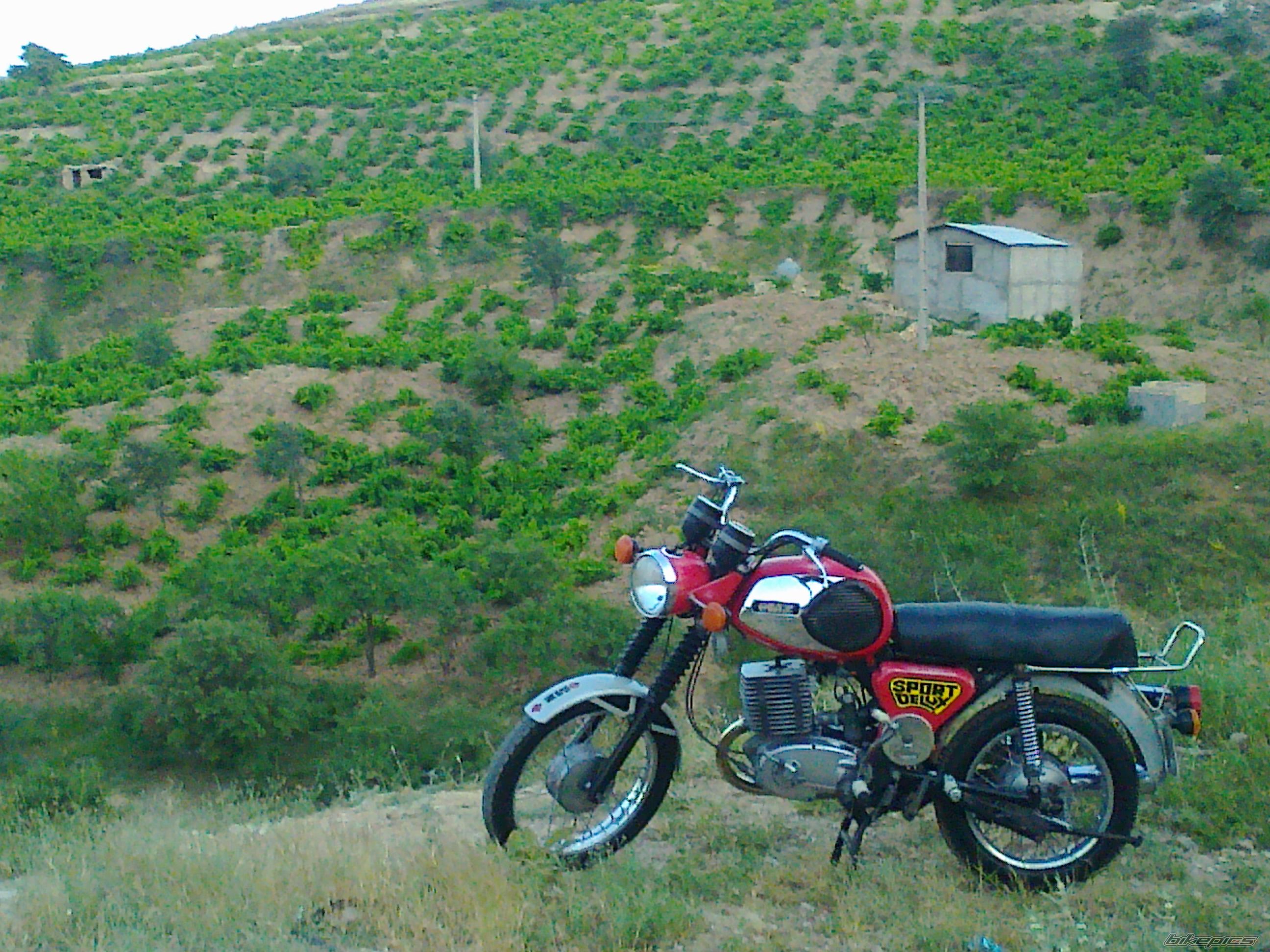 Photo 2570946