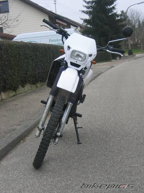Photo 257095