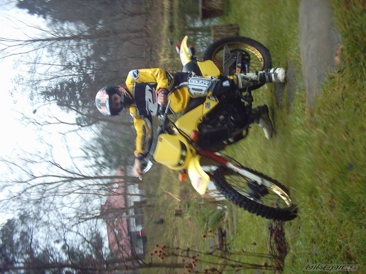 Photo 257096