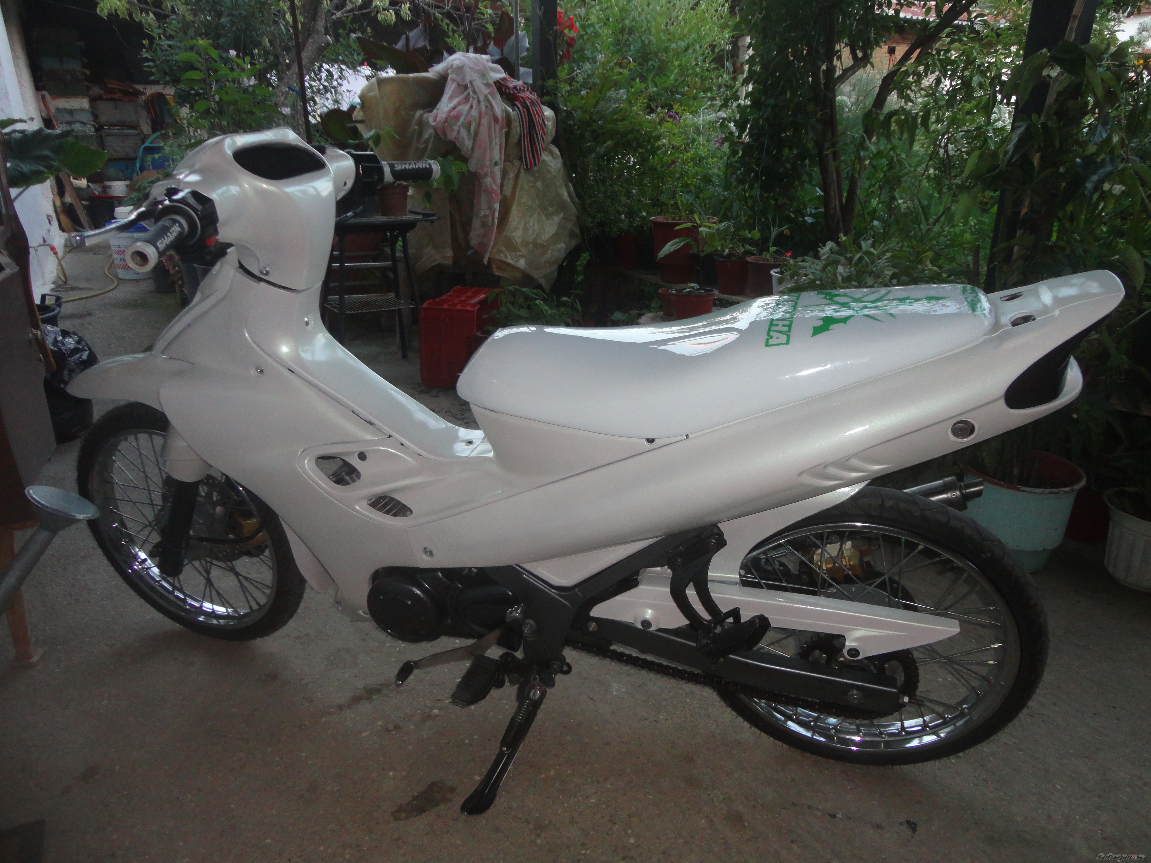 Photo 2570971