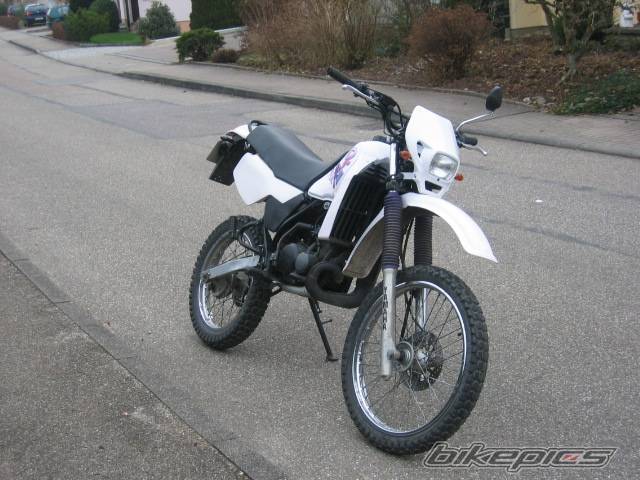 Photo 257101
