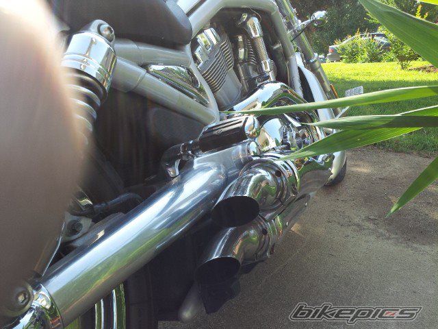 Photo 2571028