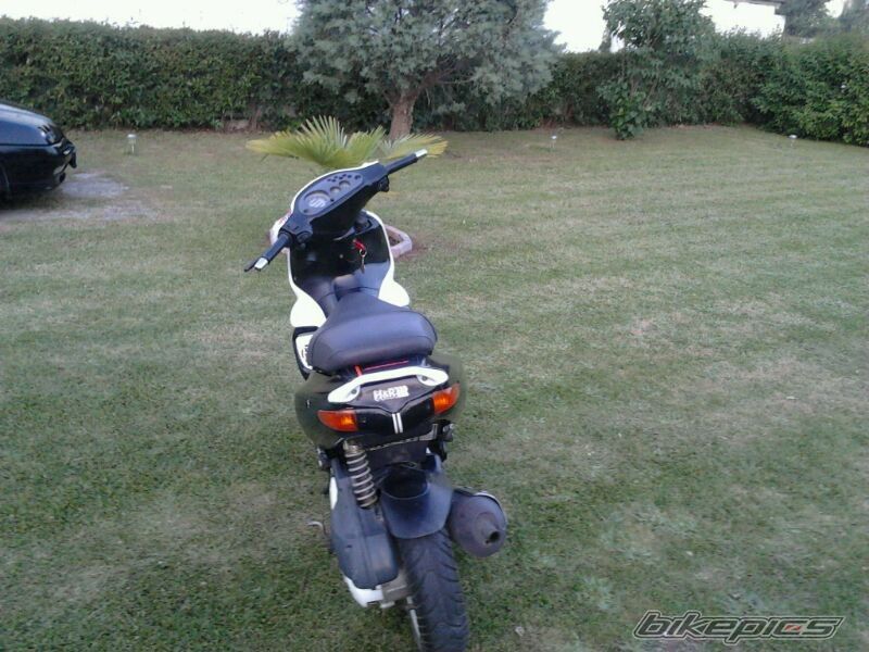 Photo 2571041