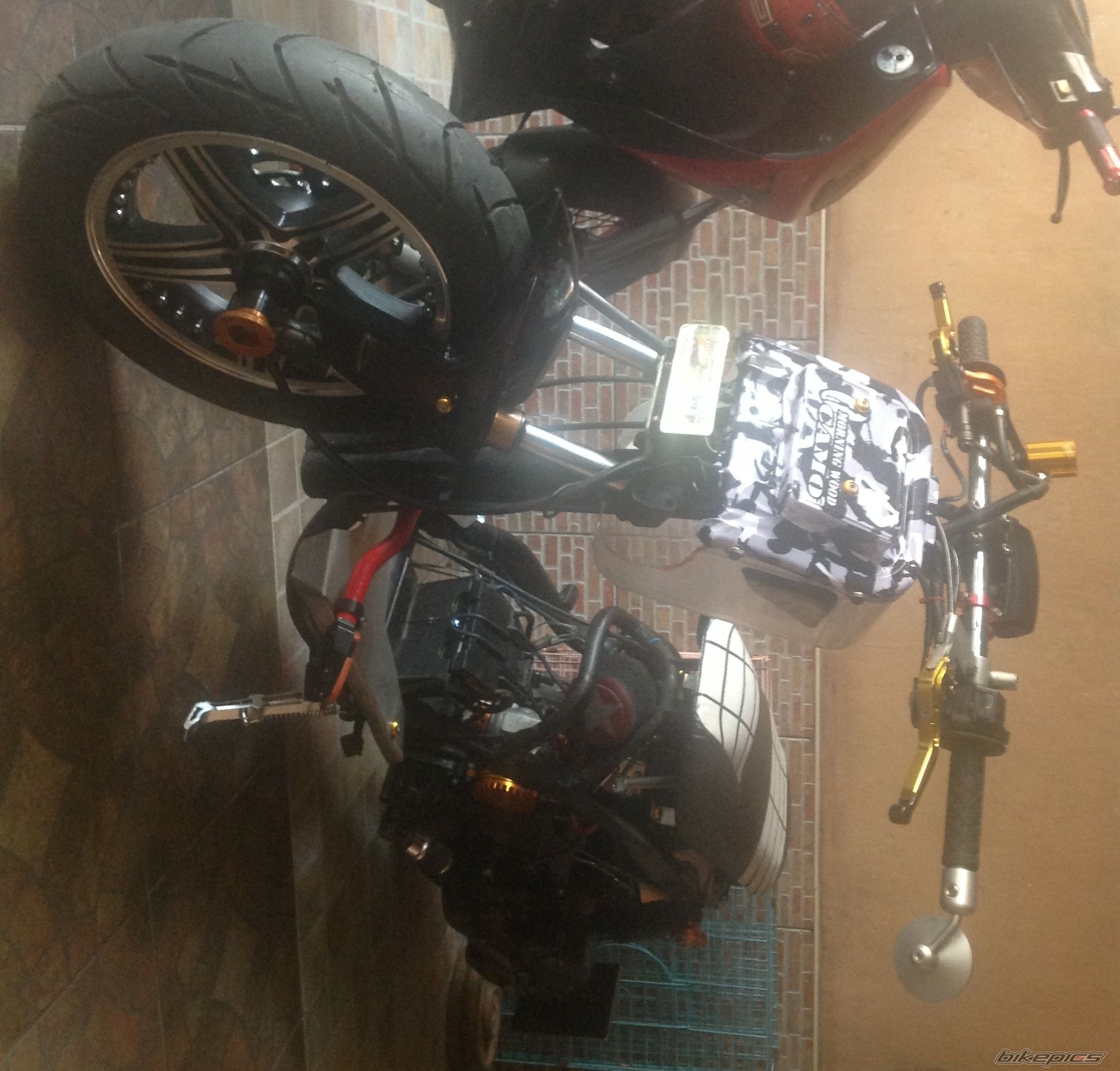 Photo 2571050