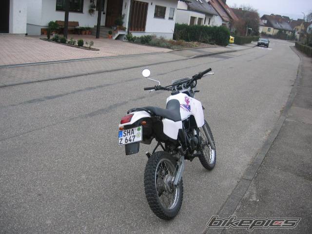 Photo 257106