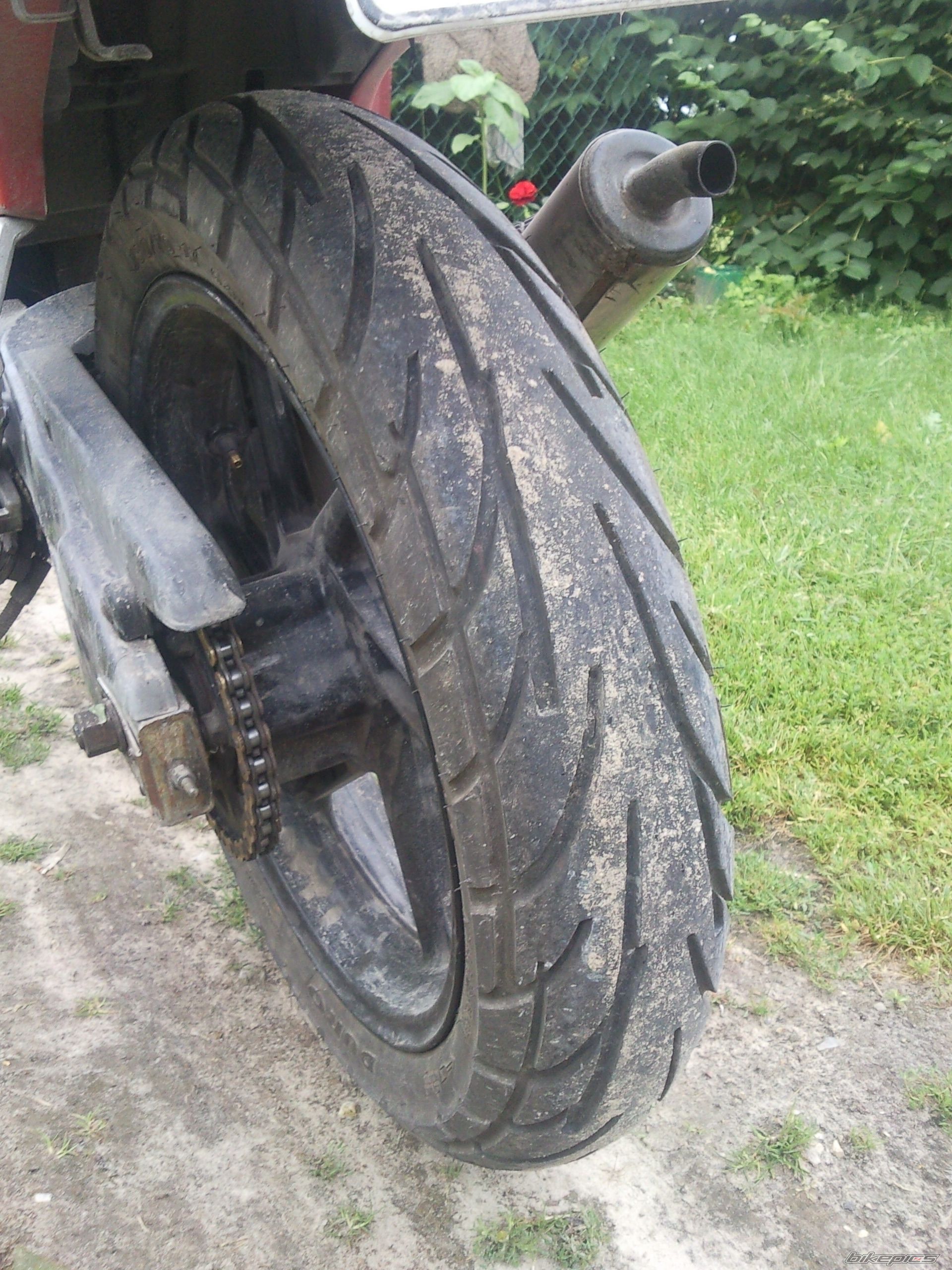 Photo 2571073