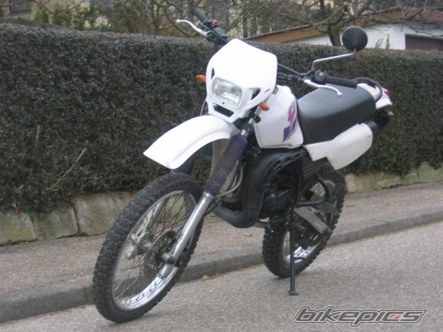 Photo 257109