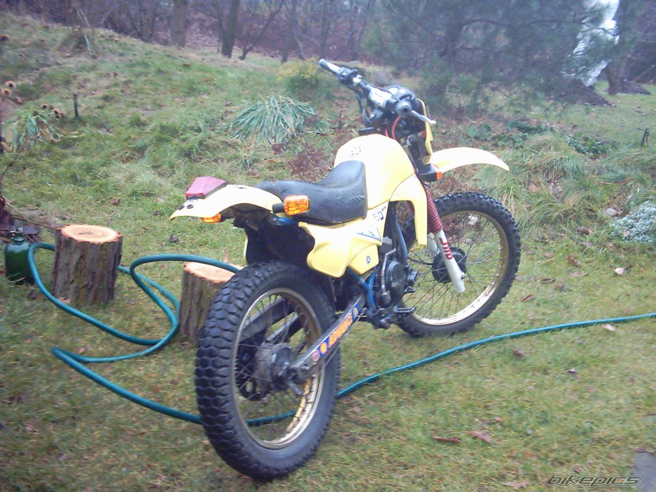 Photo 257110