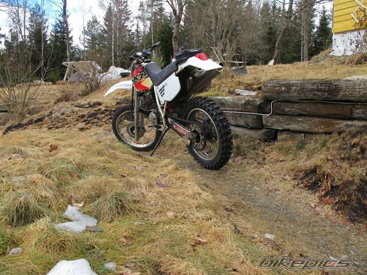 Photo 2571117