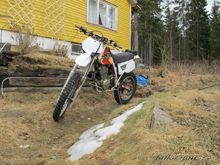 Photo 2571118