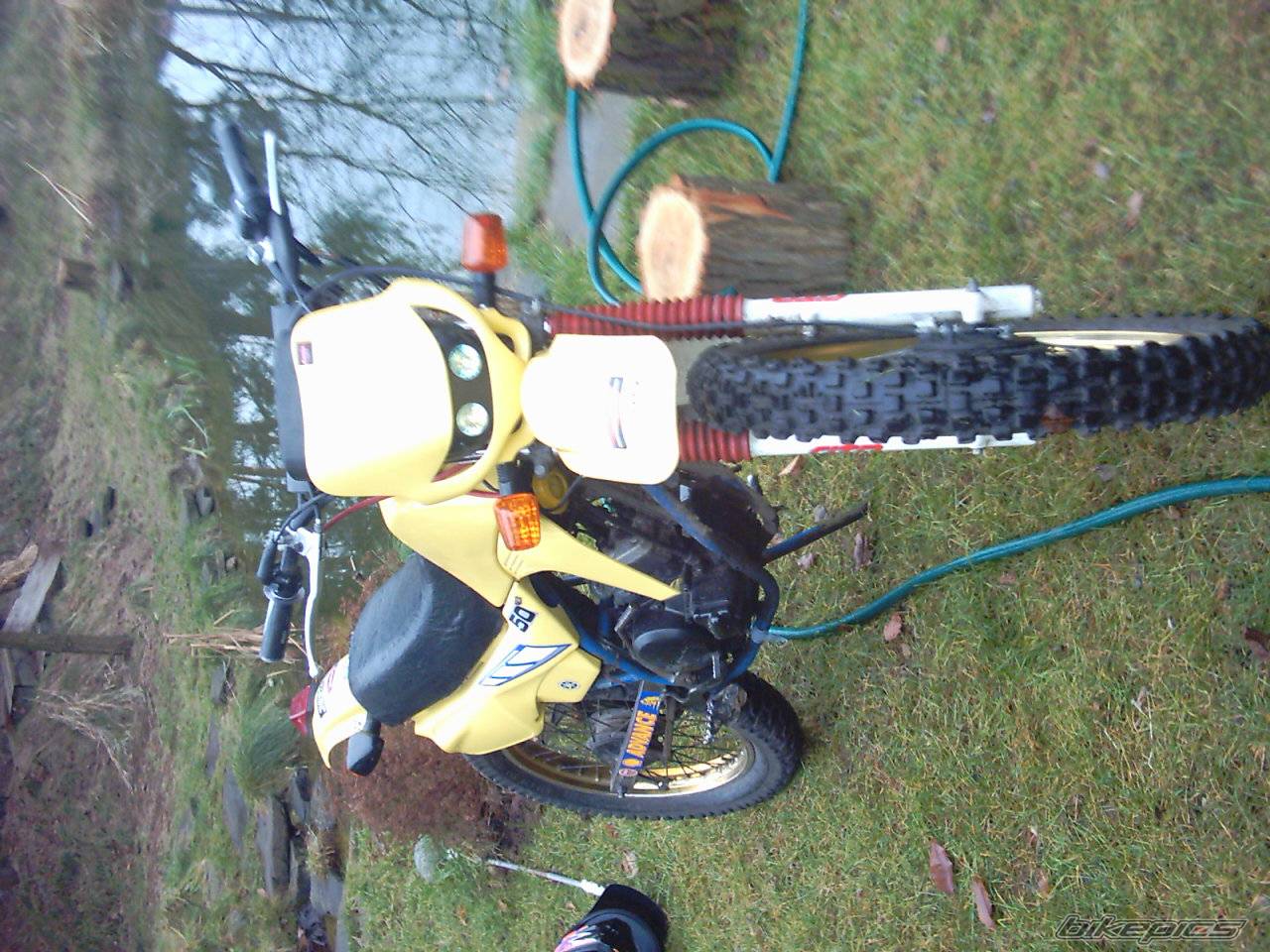 Photo 257113