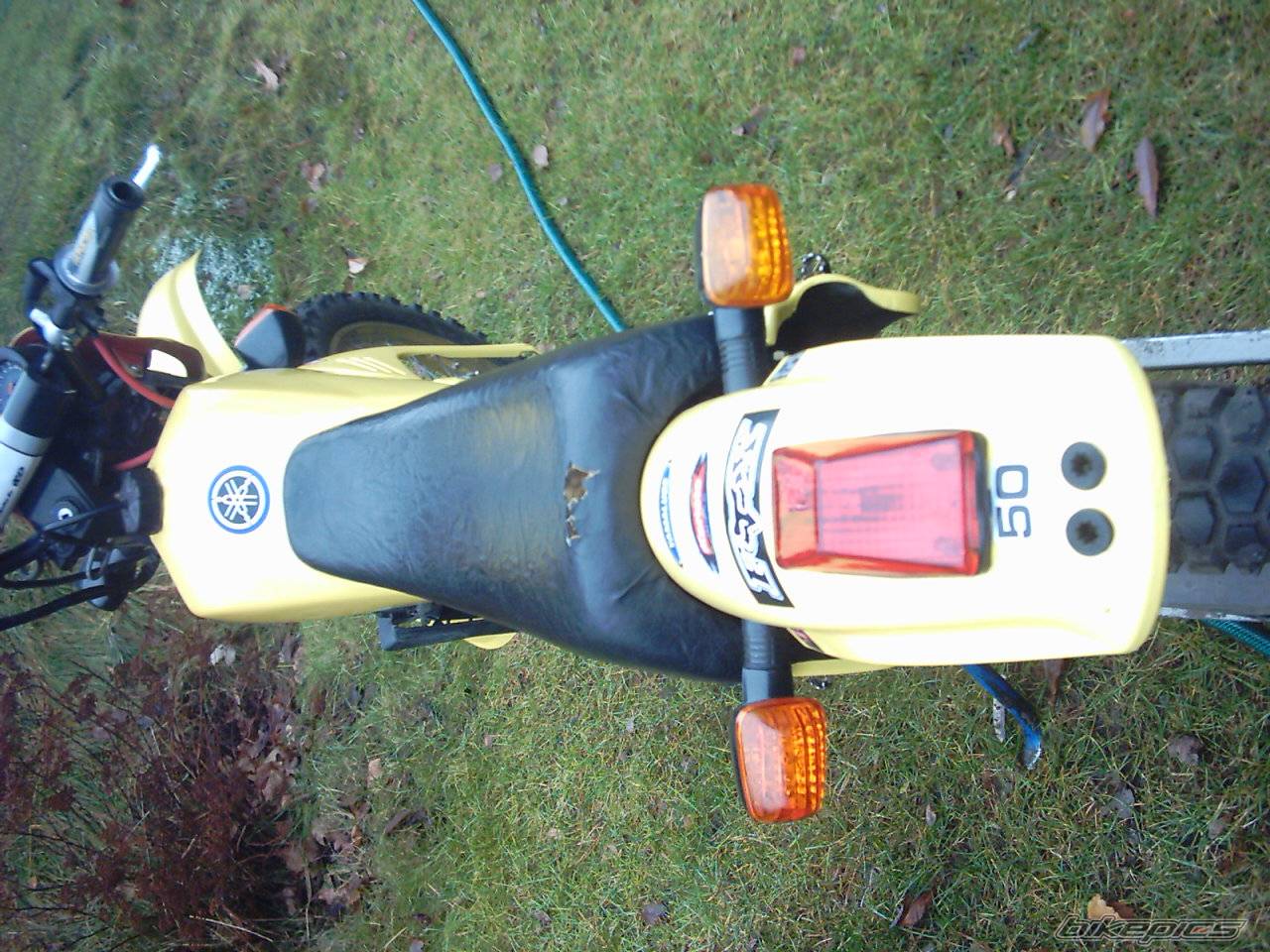 Photo 257114