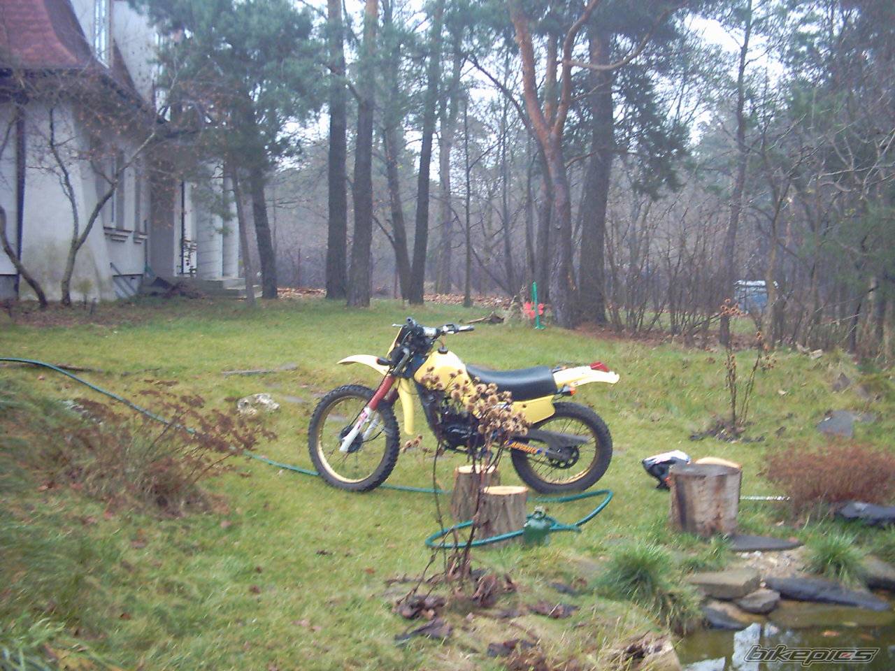 Photo 257119