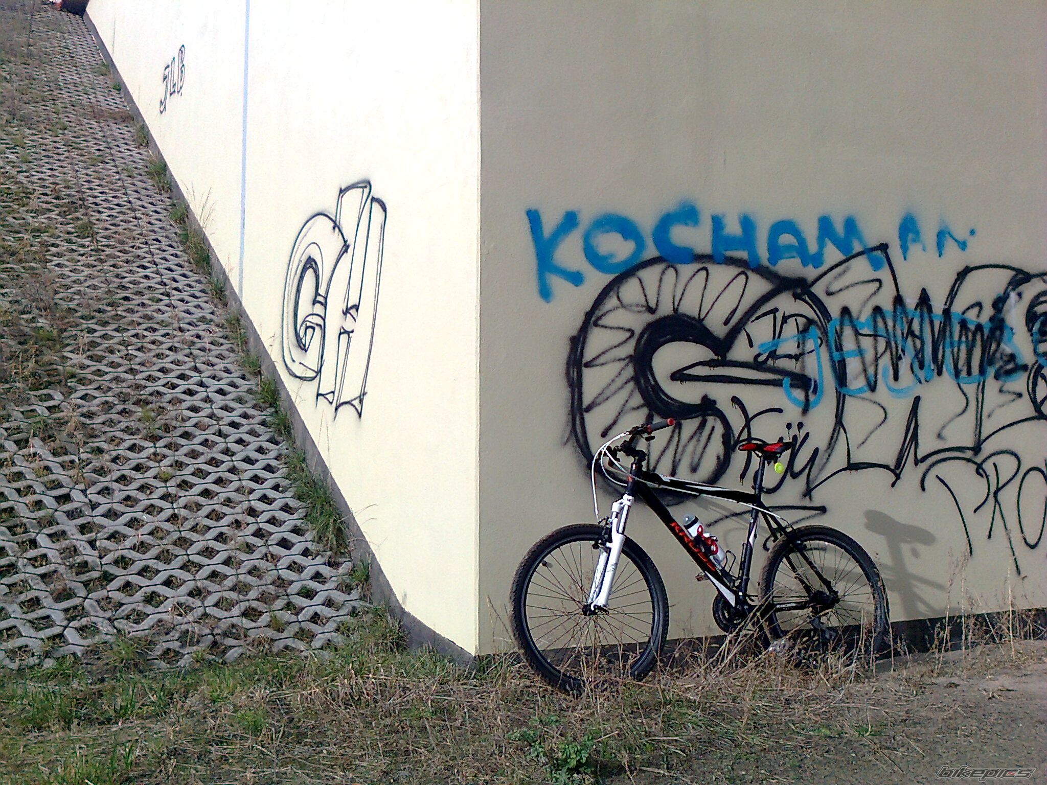 Photo 2571211