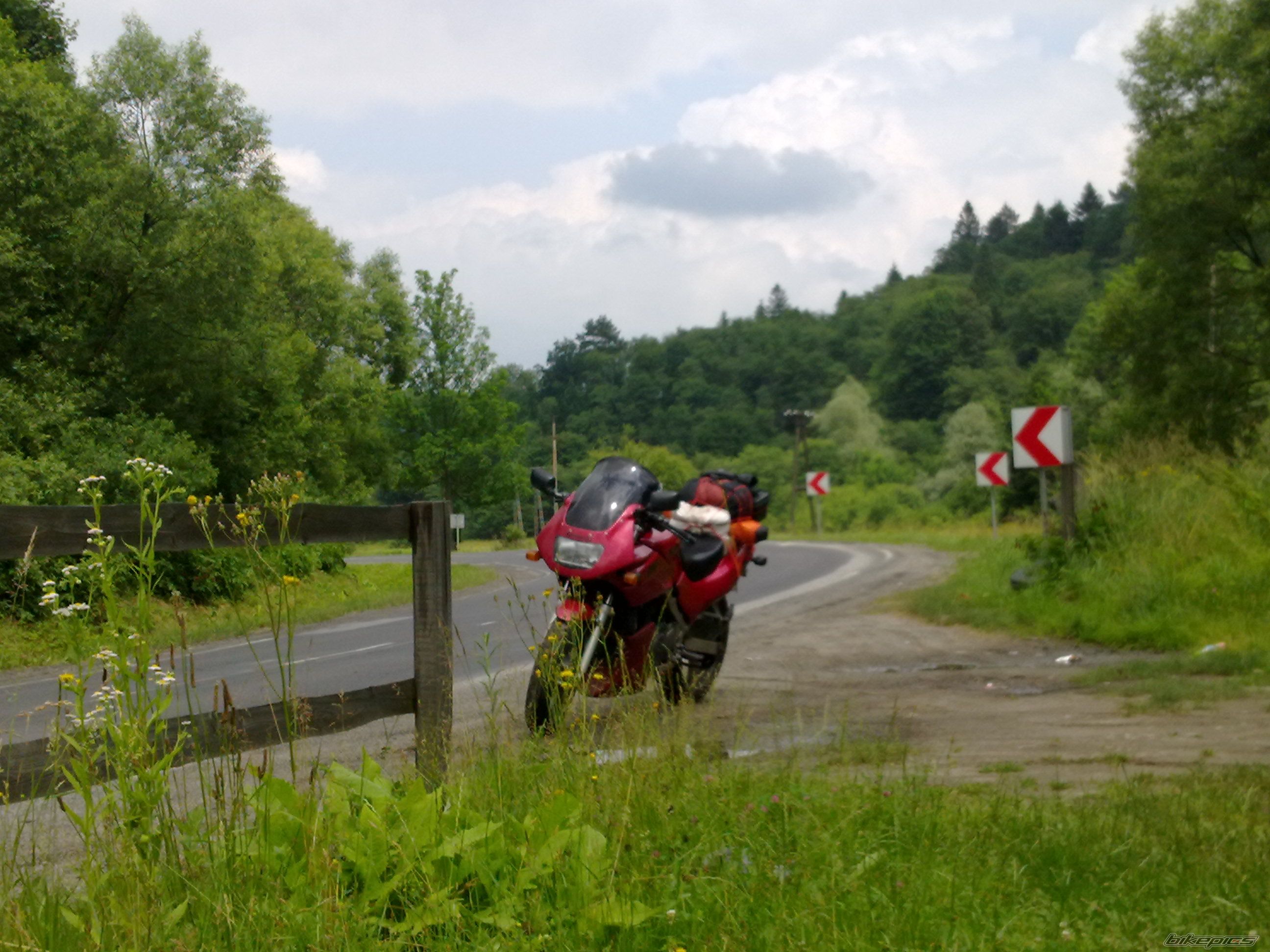 Photo 2571243