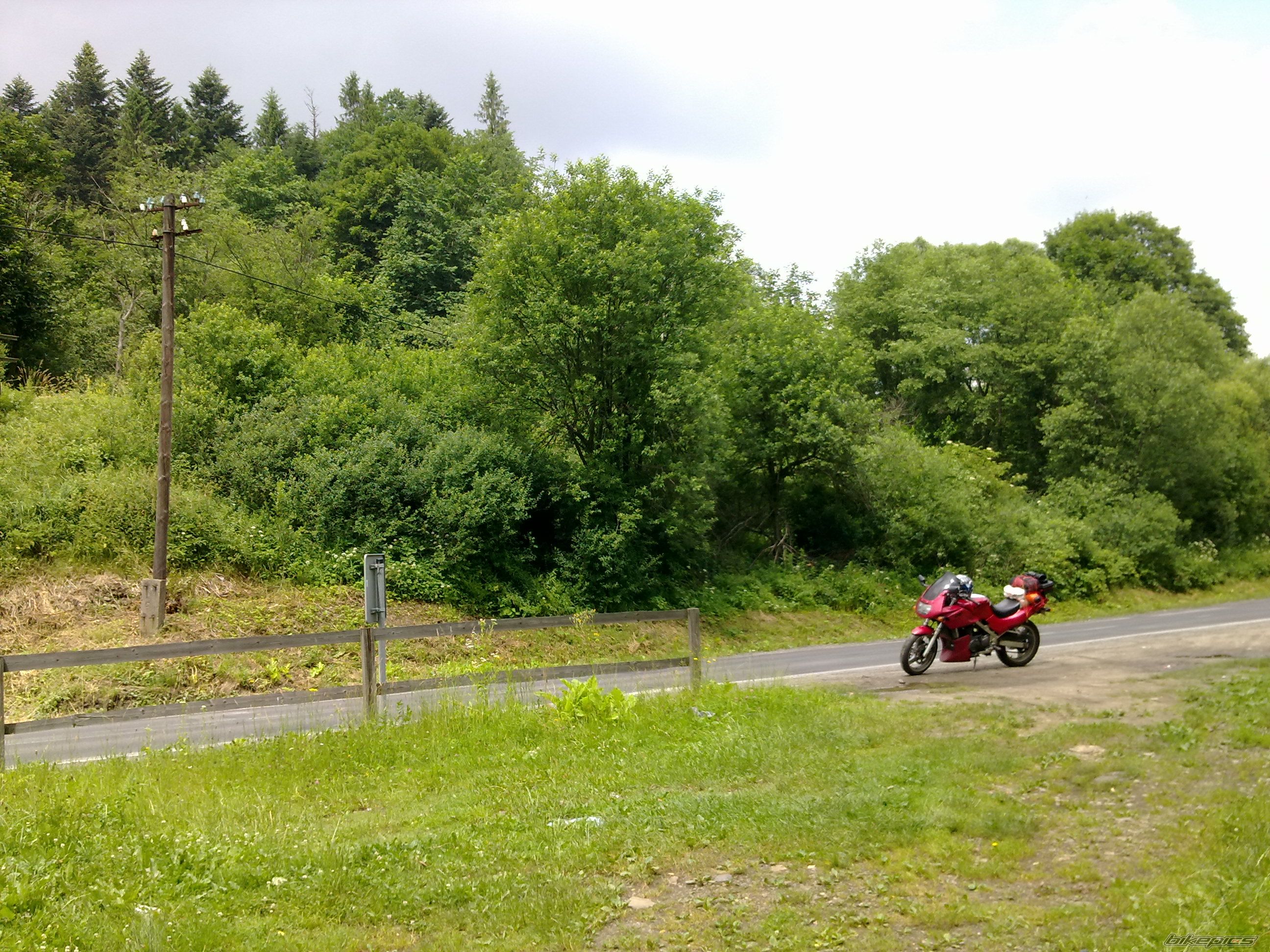 Photo 2571244