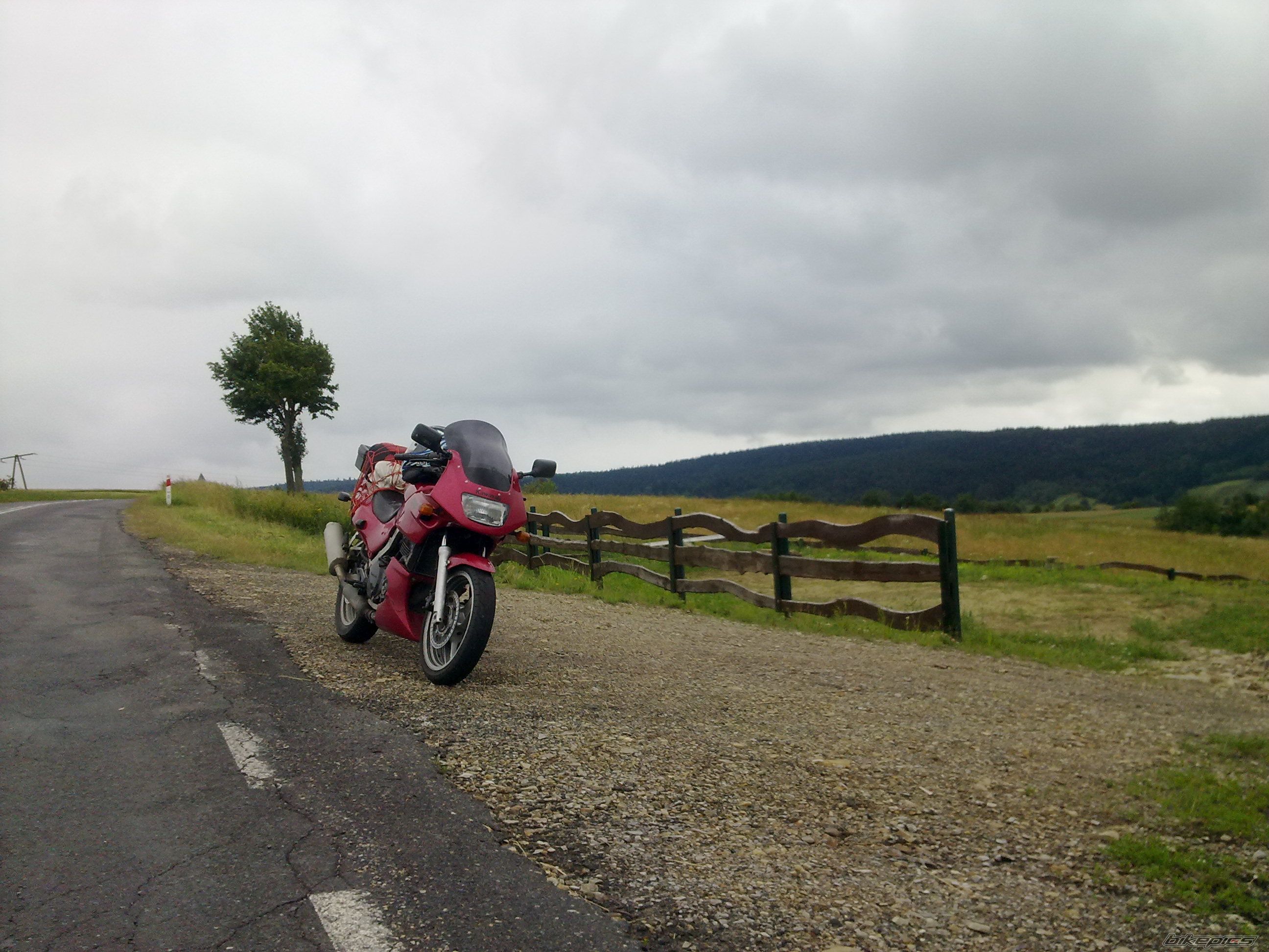 Photo 2571254
