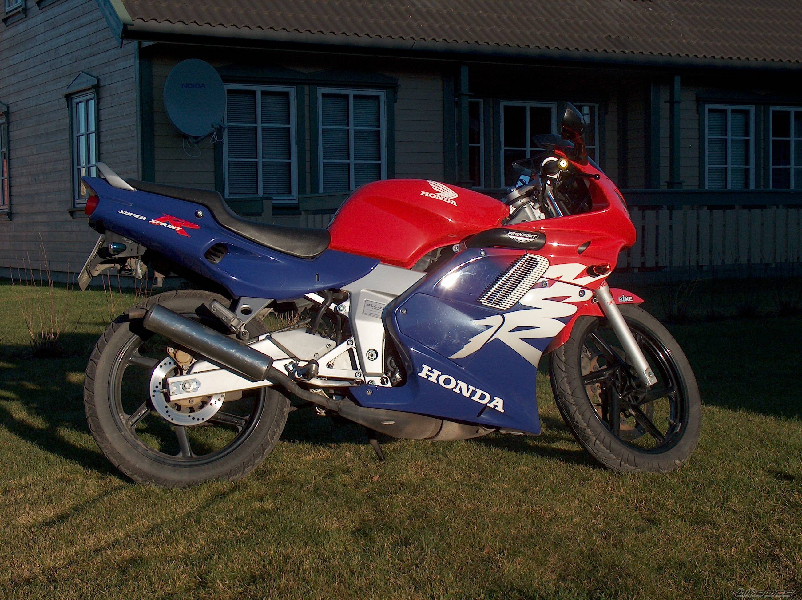 Photo 257127