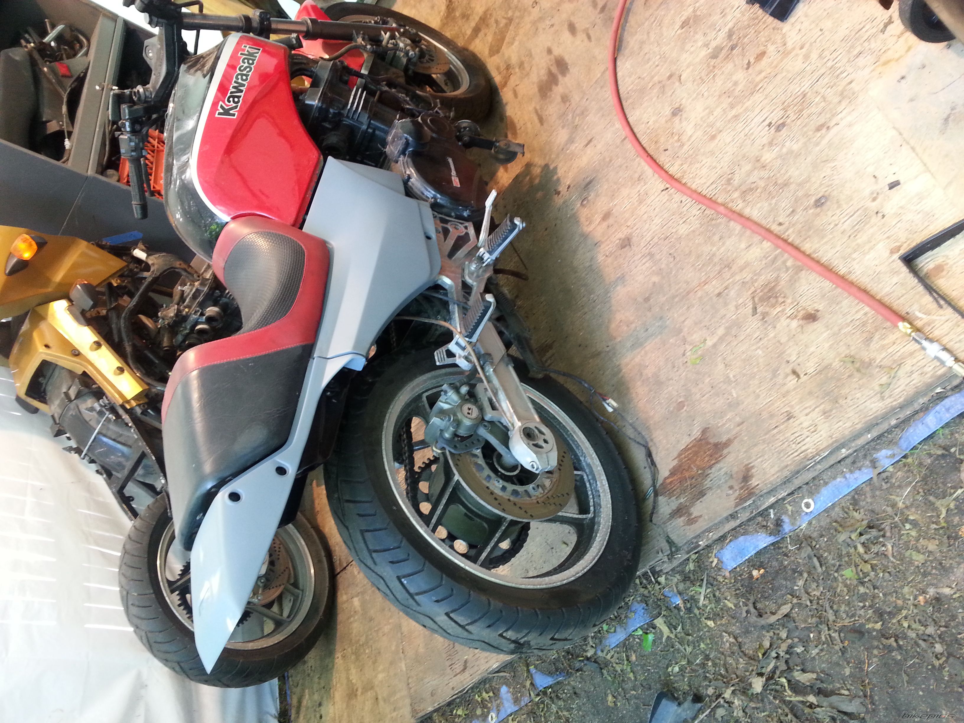 Photo 2571304