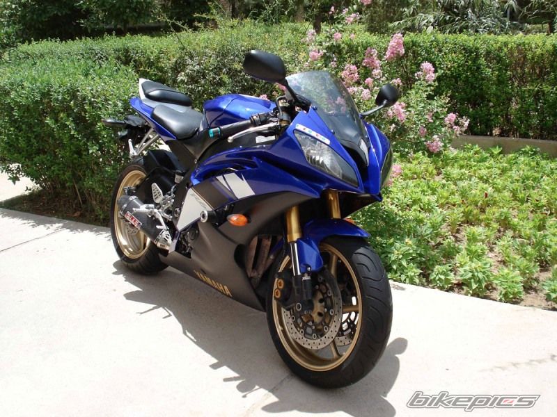 Photo 2571376
