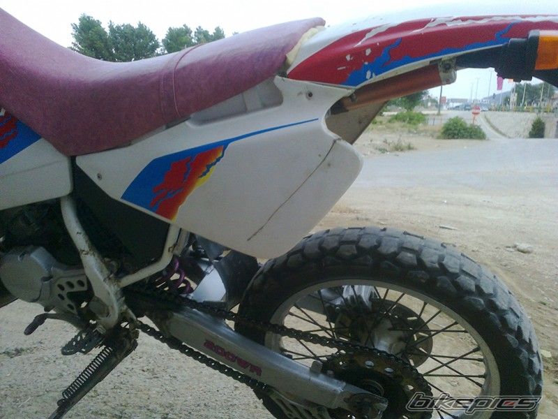 Photo 2571393