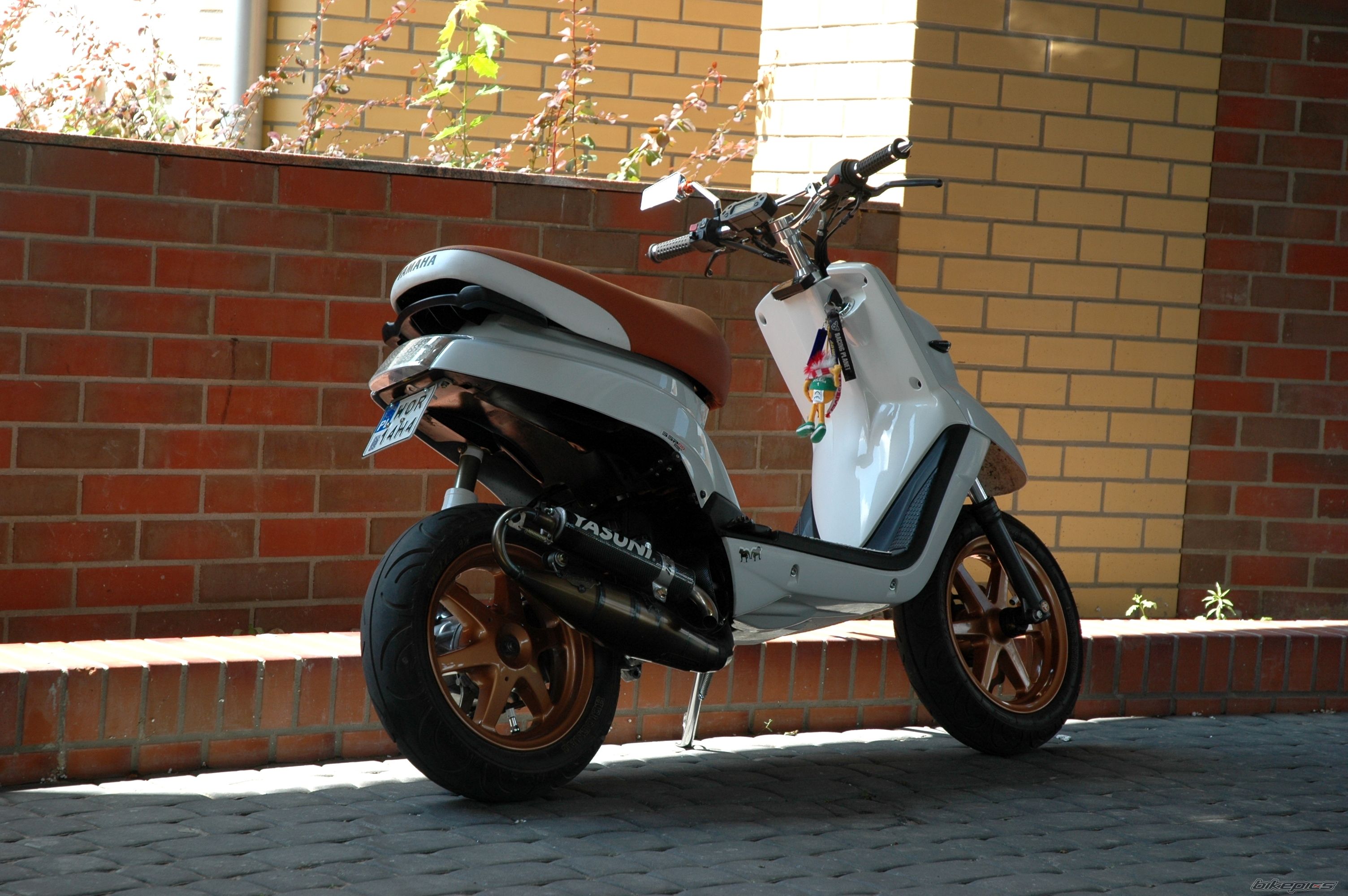 Photo 2571407