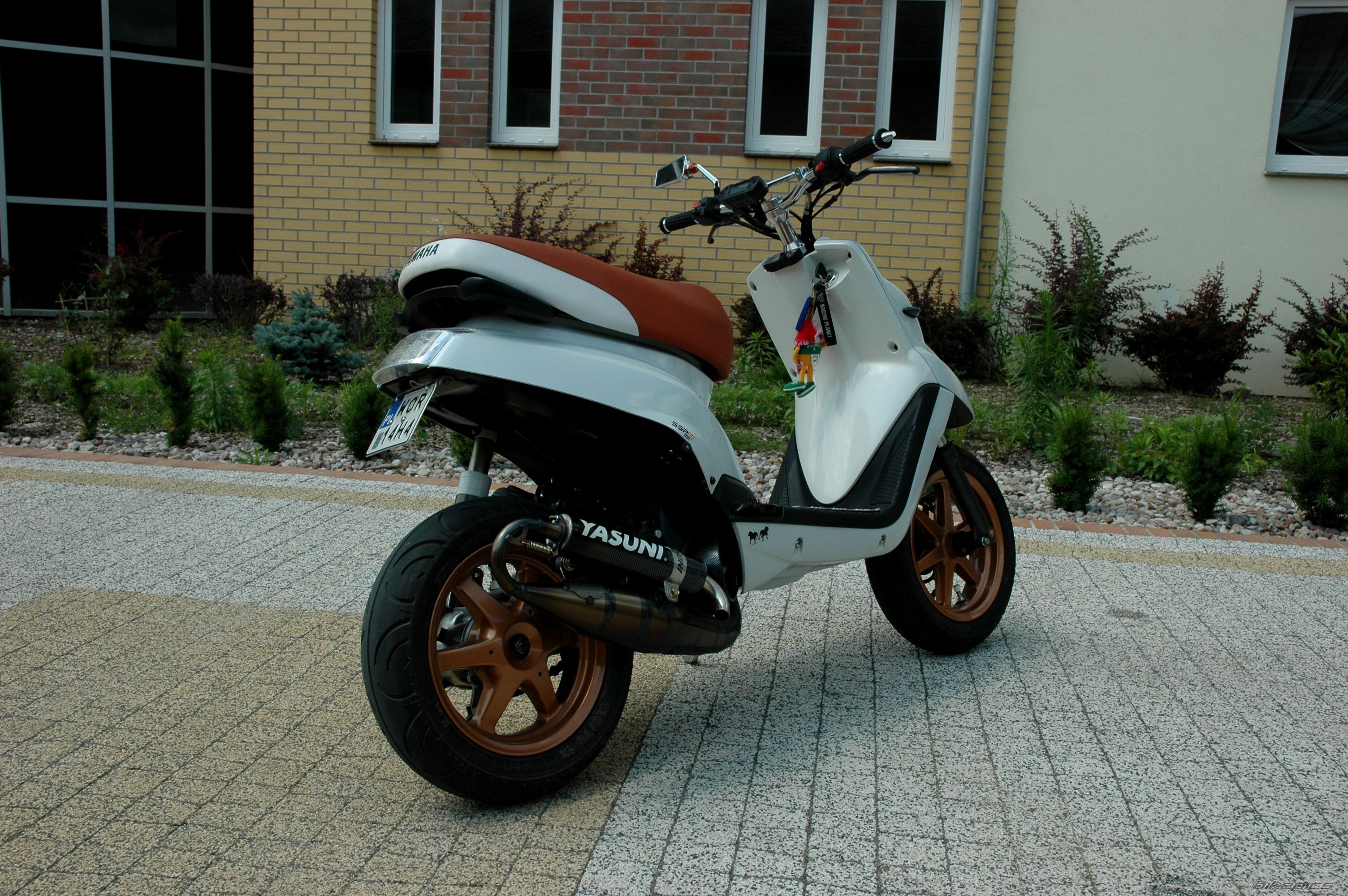 Photo 2571410