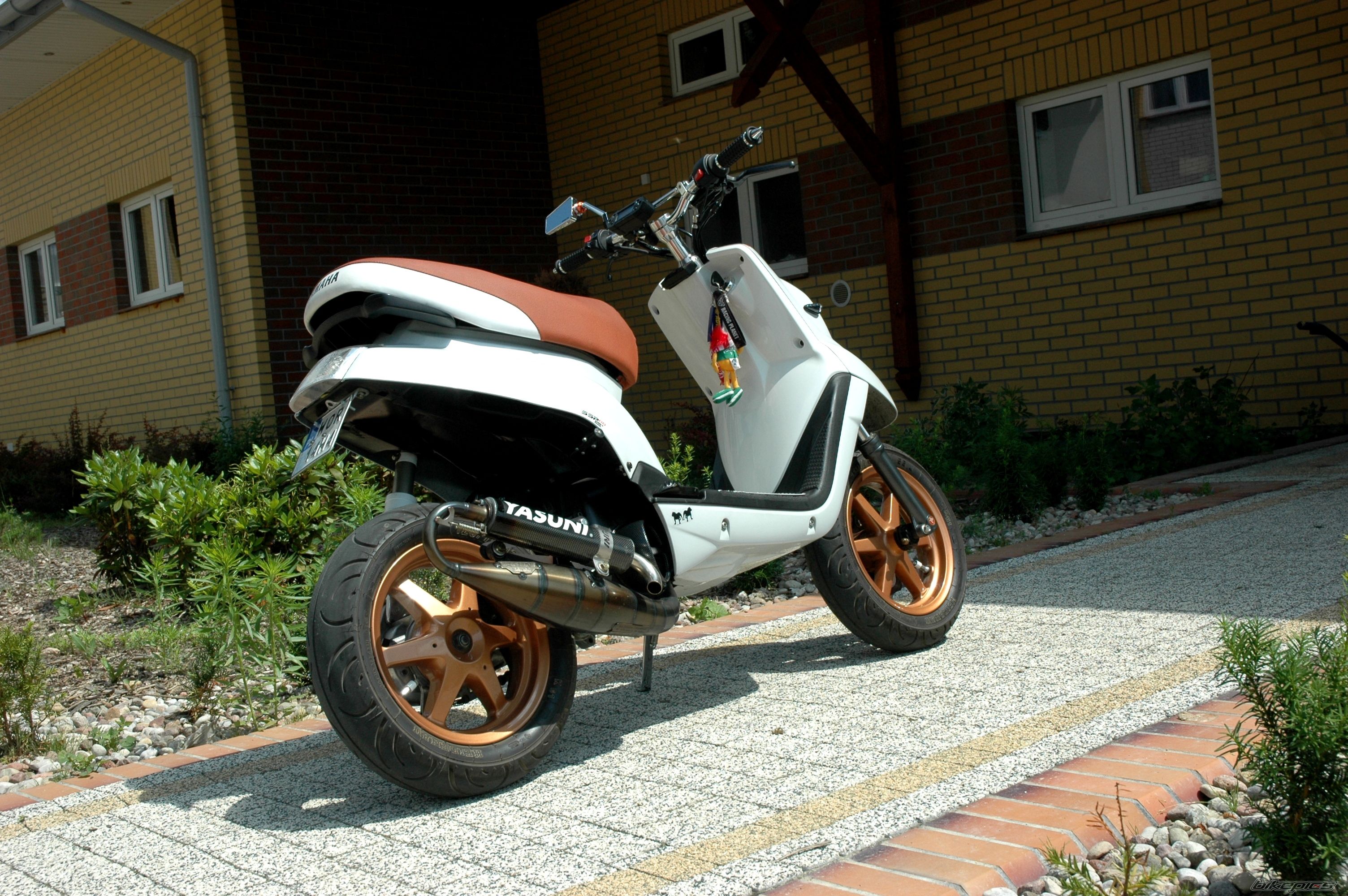 Photo 2571412