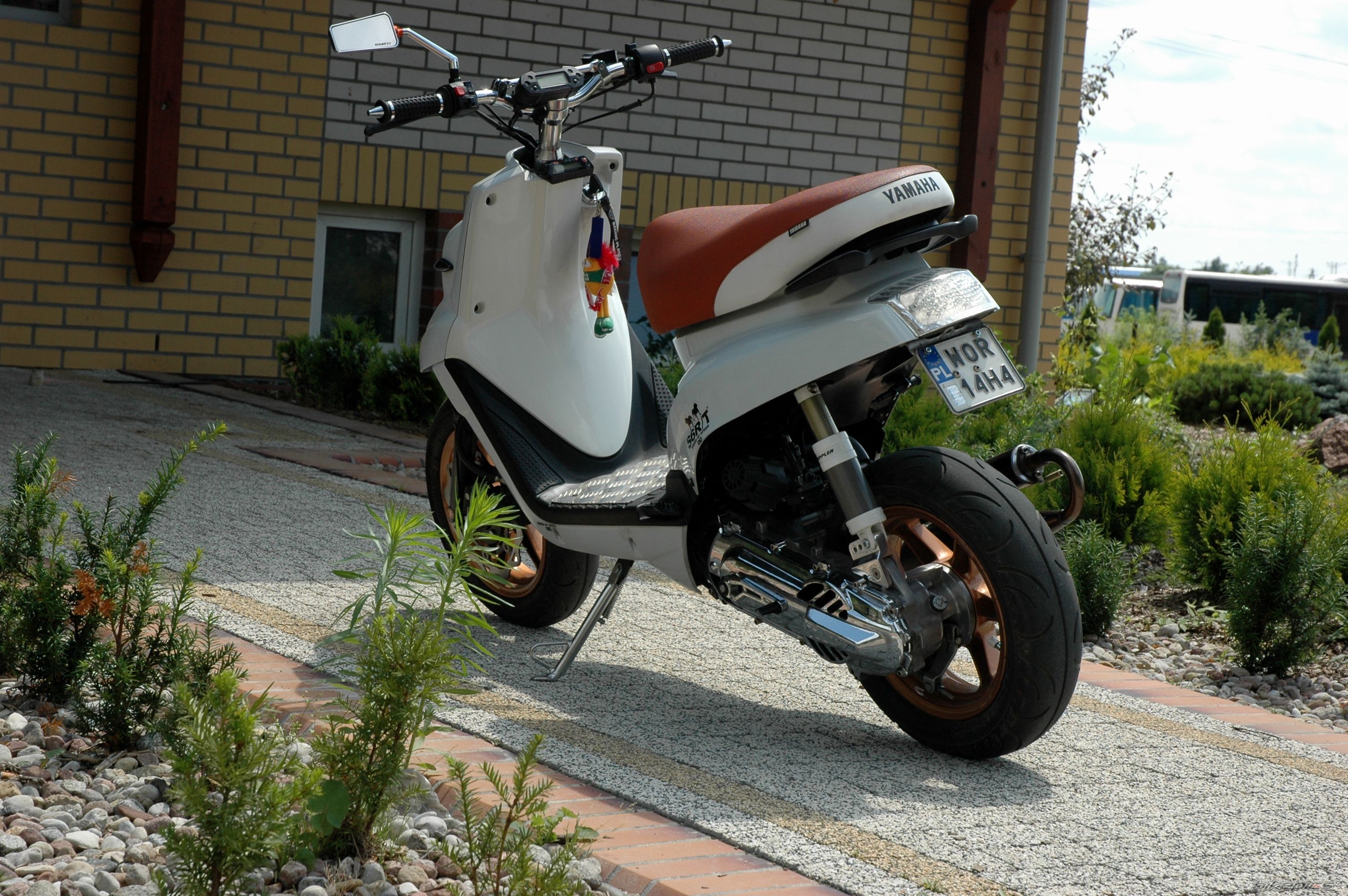 Photo 2571414