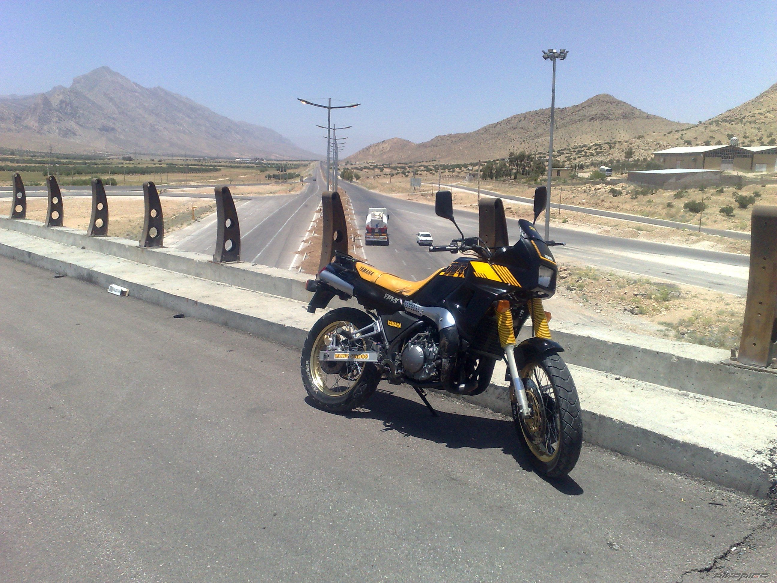 Photo 2571416
