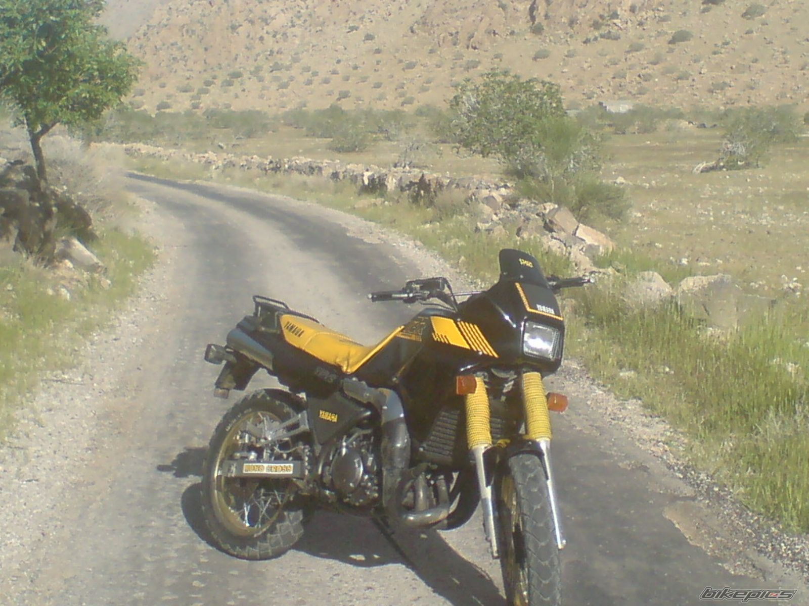 Photo 2571419