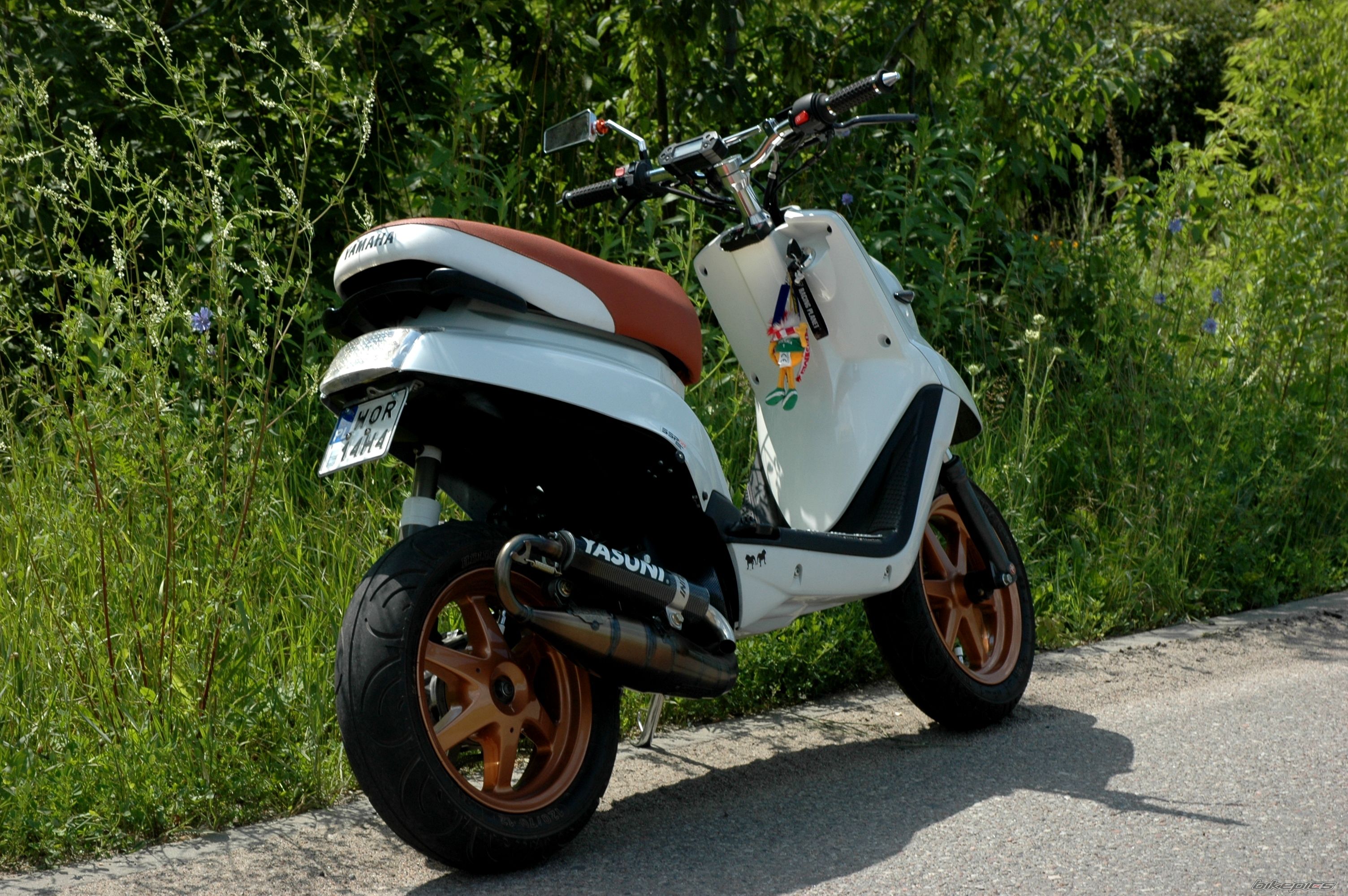 Photo 2571425
