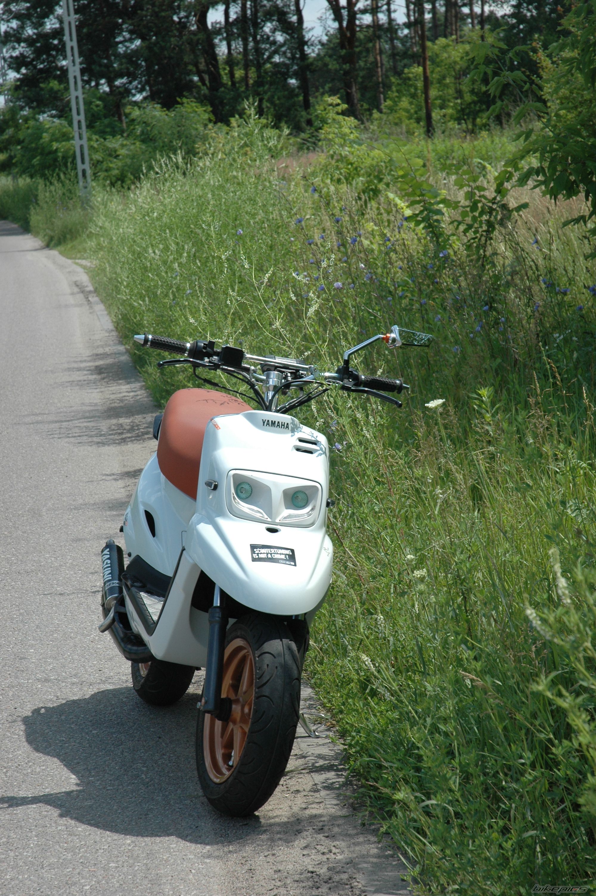 Photo 2571427