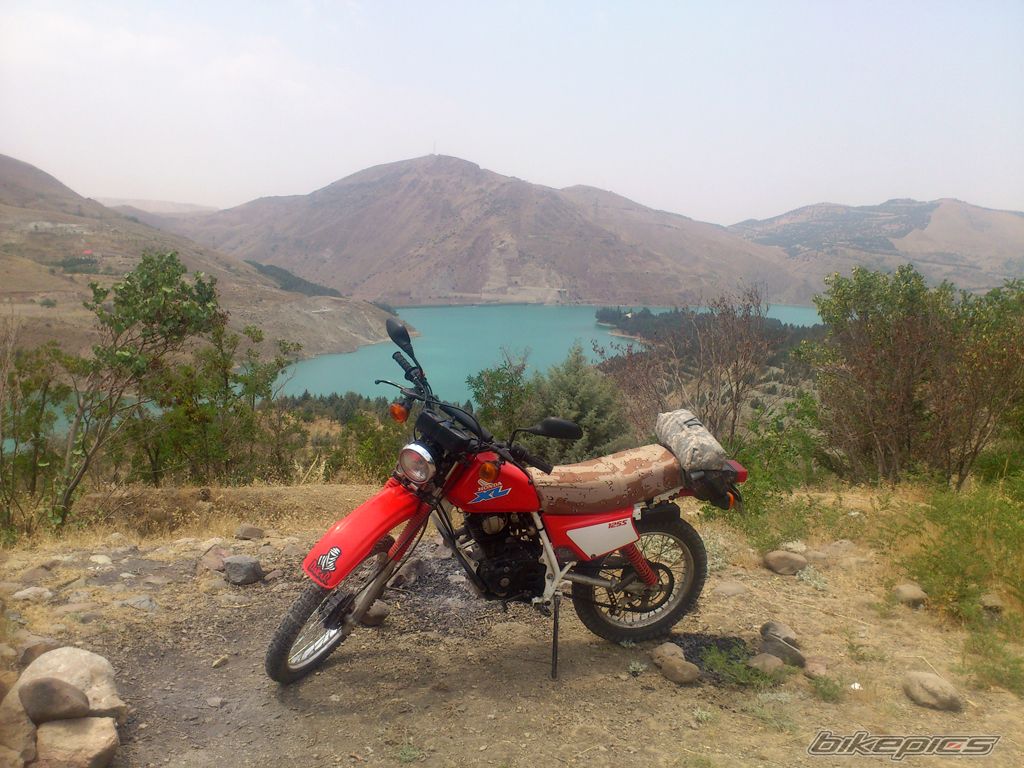Photo 2571439