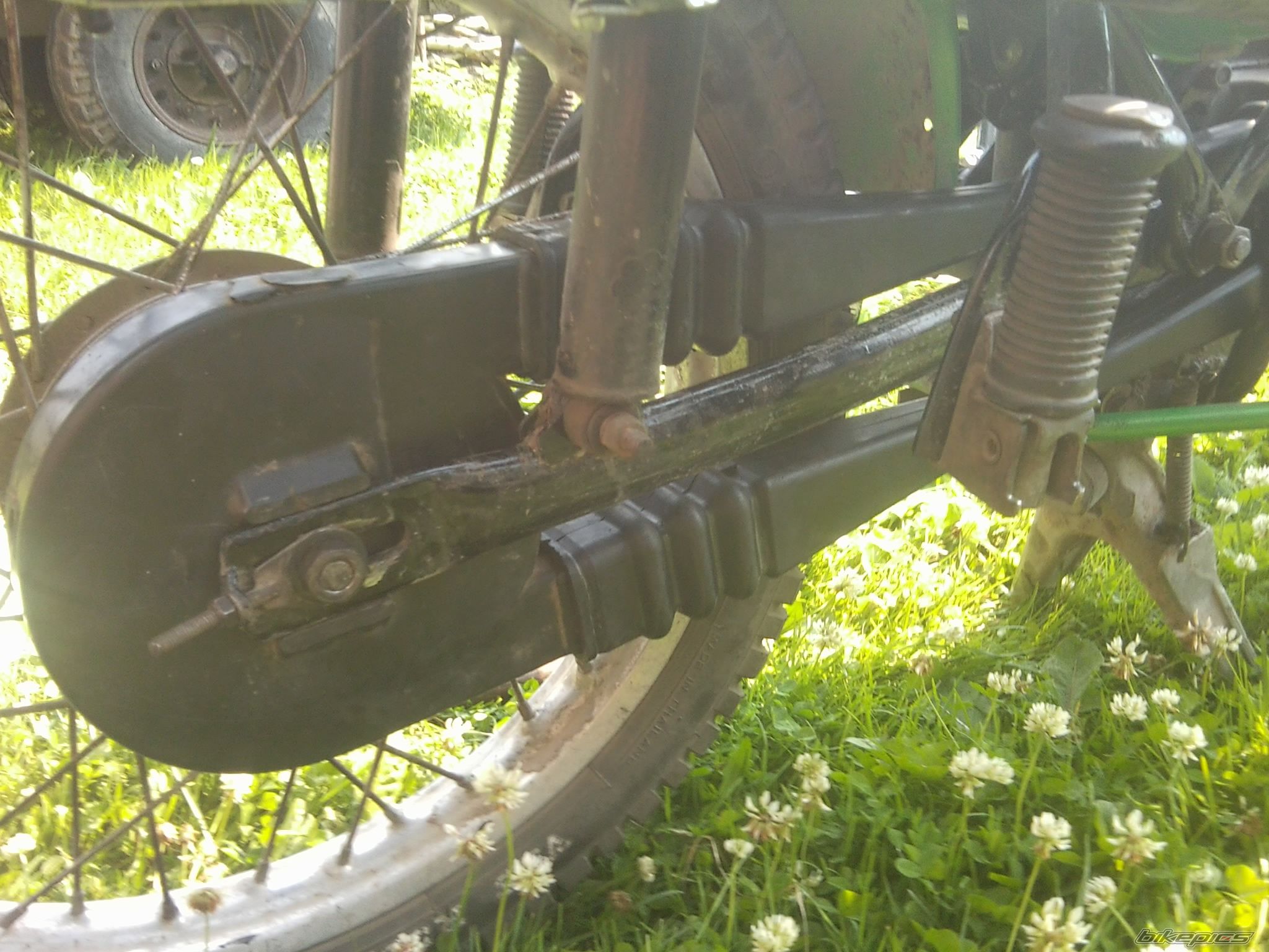 Photo 2571509